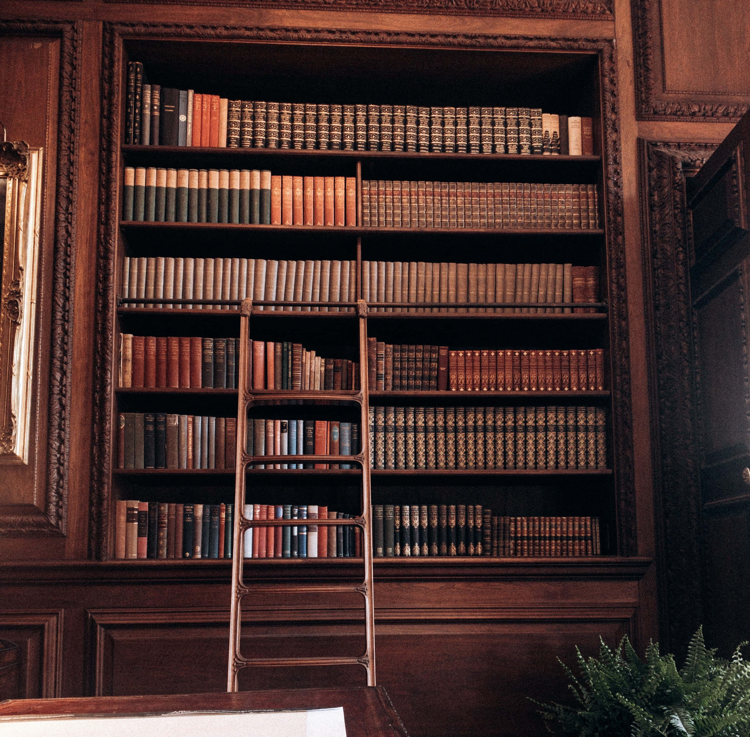 classic library bookshelves, ornate wooden bookcase, vintage leatherbound books, 2K Desktop Wallpaper
