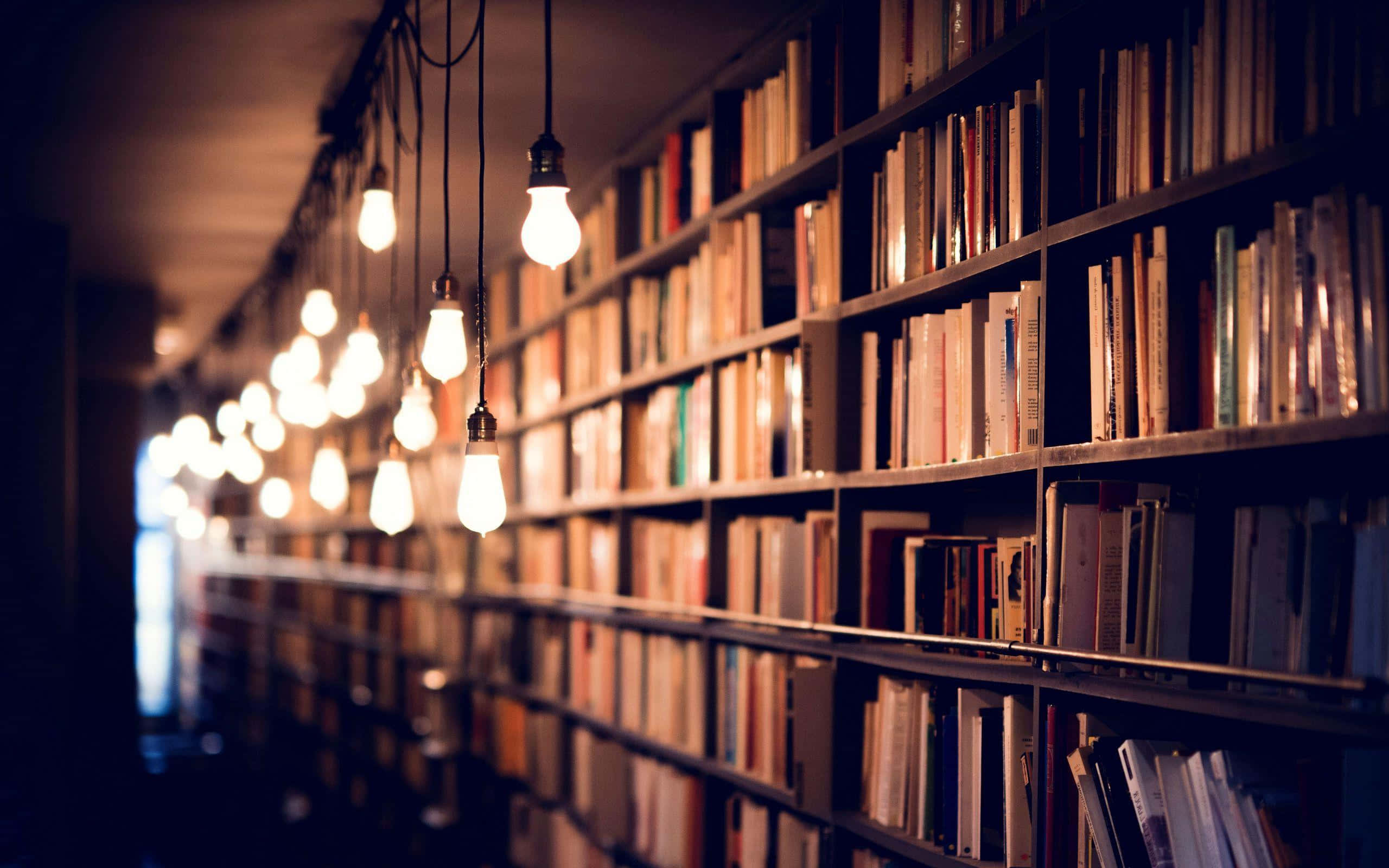 cozy library evening, warm glowing bulbs, endless rows of books, 2K Desktop Wallpaper