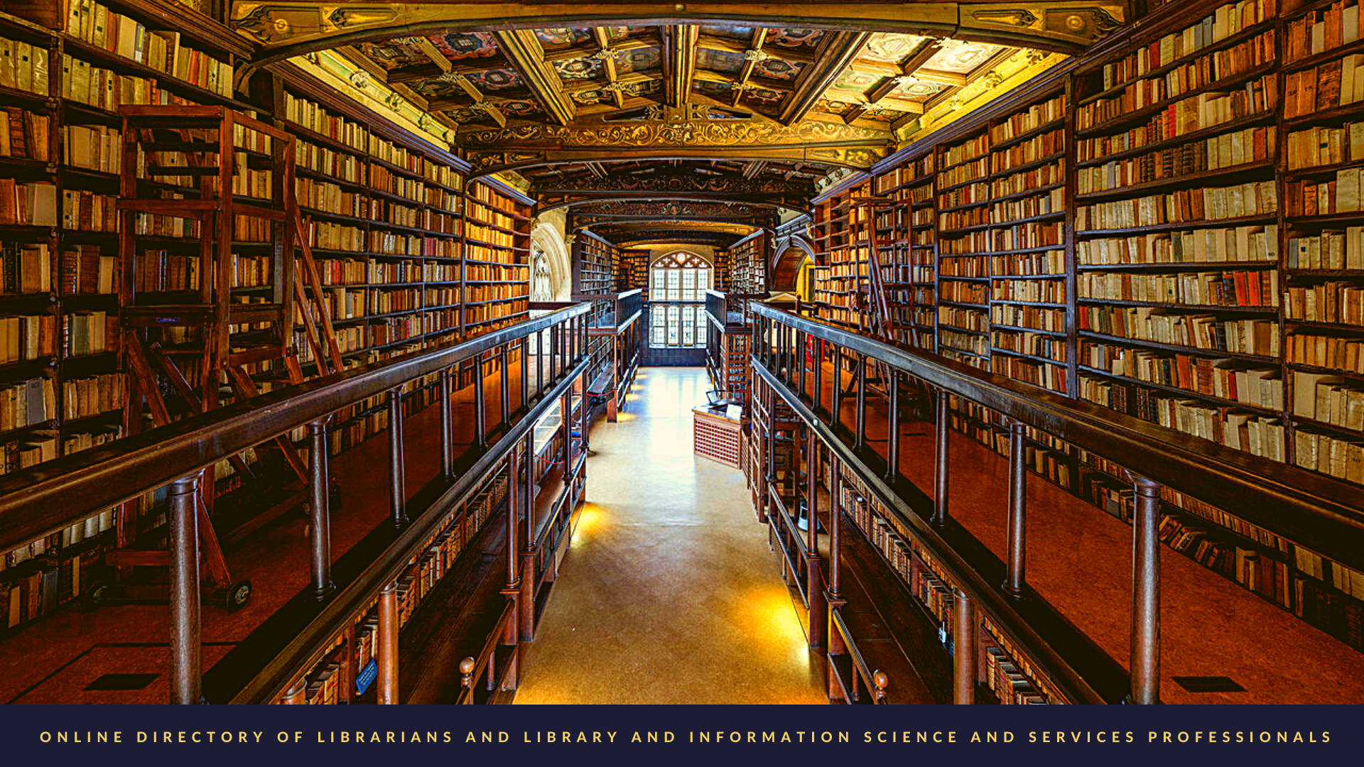 Librarian, massive library, towering wooden bookshelves, Full HD Desktop Wallpaper