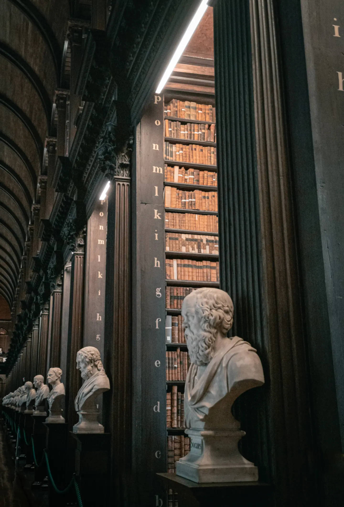 dark academia aesthetic, library, marble busts, Full HD Phone Wallpaper