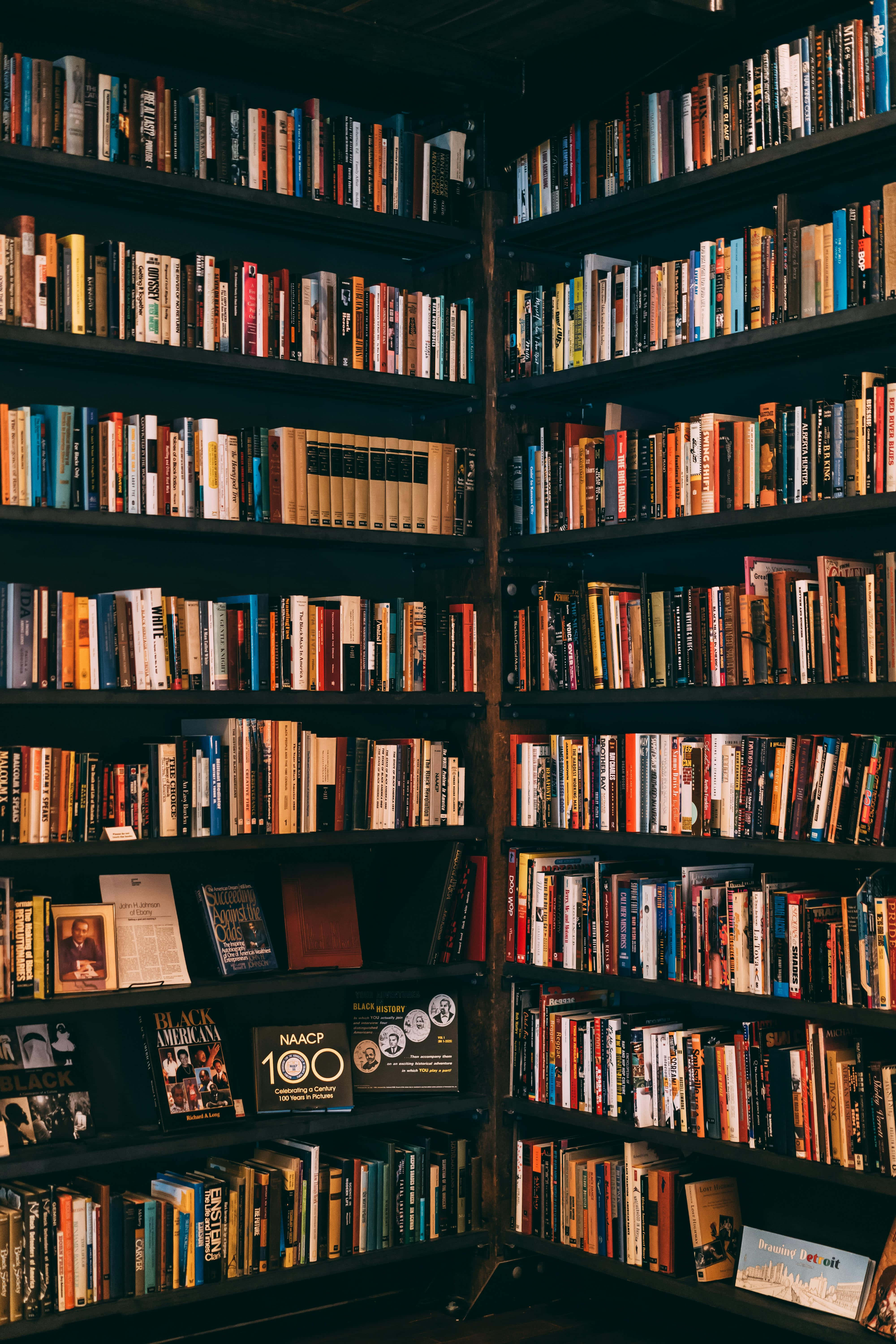 dark wooden bookshelves, colorful books, cozy corner, 5K Phone Wallpaper