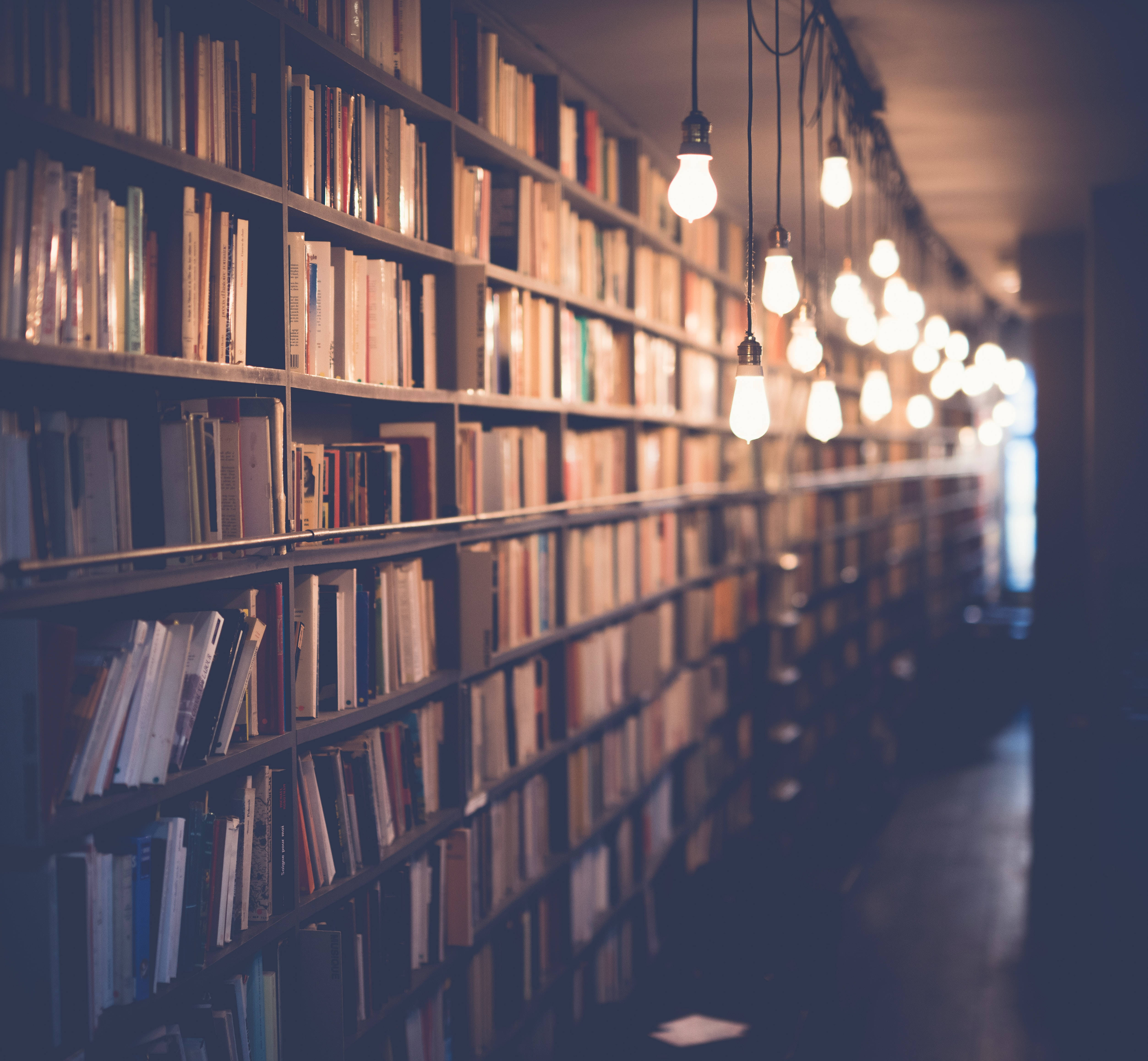 warm glowing bulbs, endless rows of books, dimly lit library aisle, 4K Desktop Wallpaper