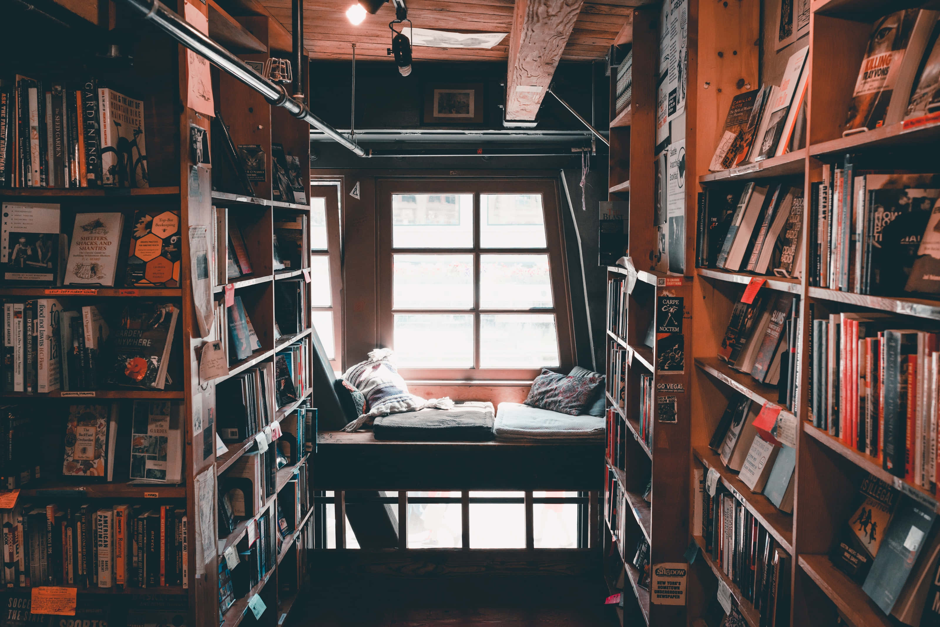 cozy reading nook, towering wooden bookshelves, soft window light, 2K Desktop Wallpaper