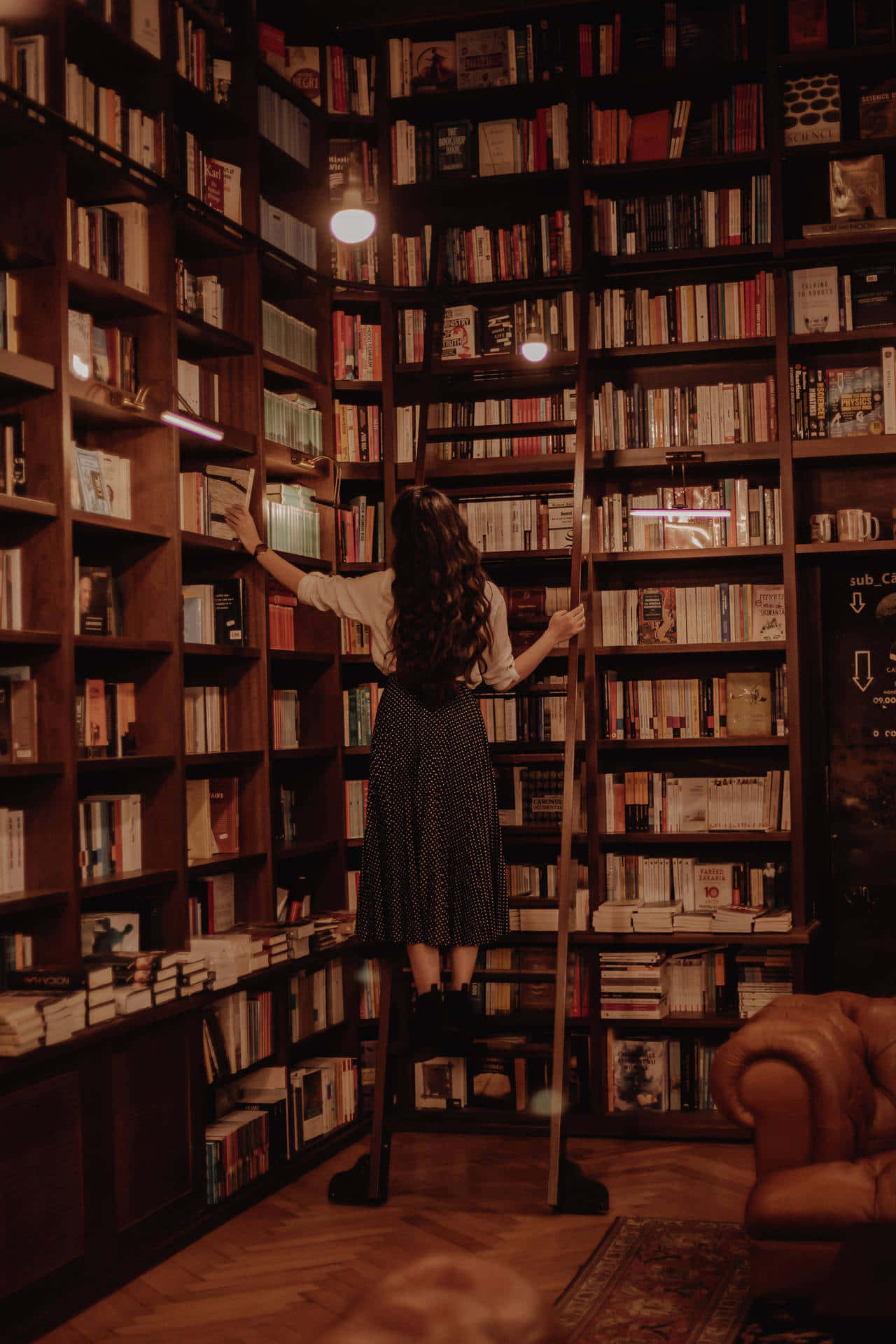 cozy library nook, ladder, long dark hair, Full HD Phone Wallpaper