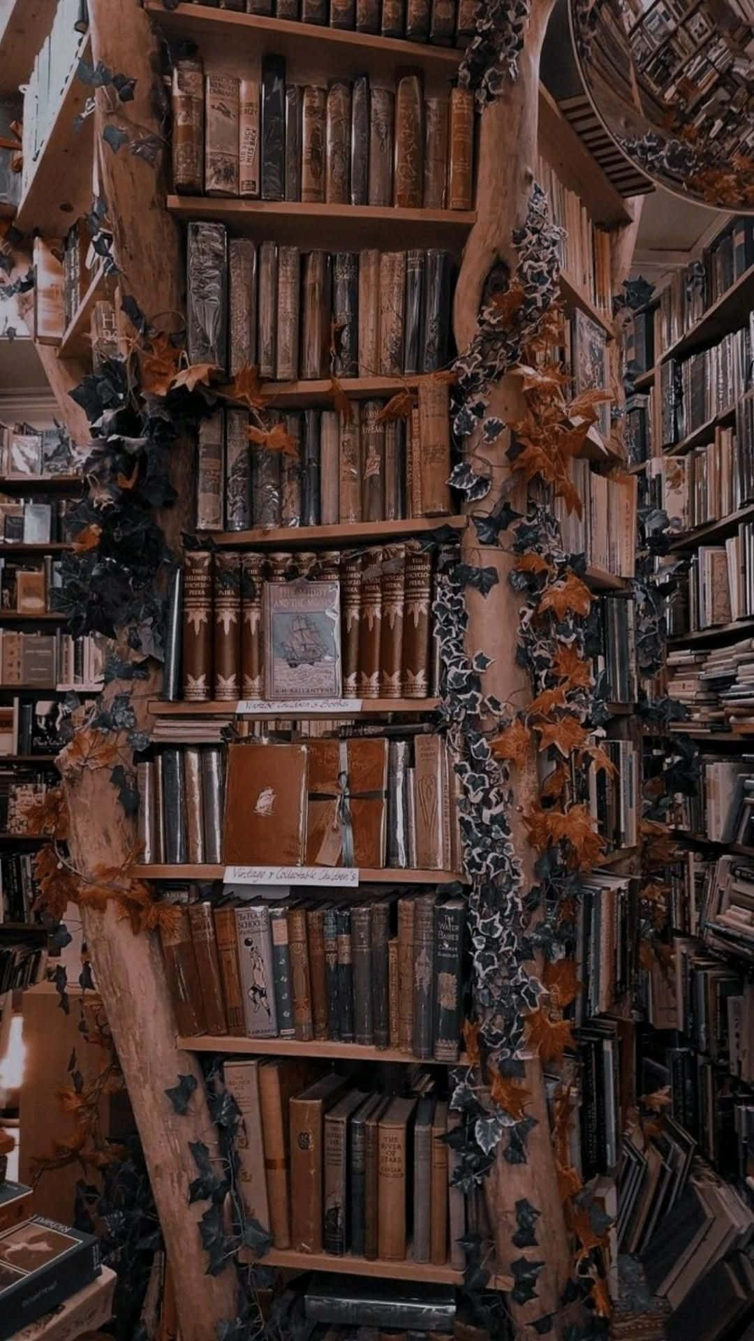 enchanted book nook, wooden bookshelf, ivy, Full HD Phone Wallpaper