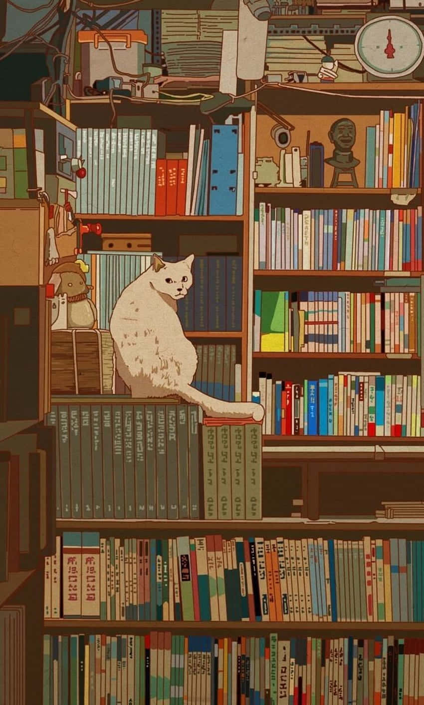 cozy library cat illustration, white cat, cluttered bookshelf, HD Phone Wallpaper