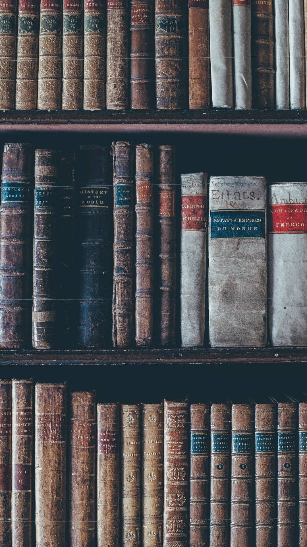 leather-bound books, dark wooden shelves, vintage library, Full HD Phone Wallpaper