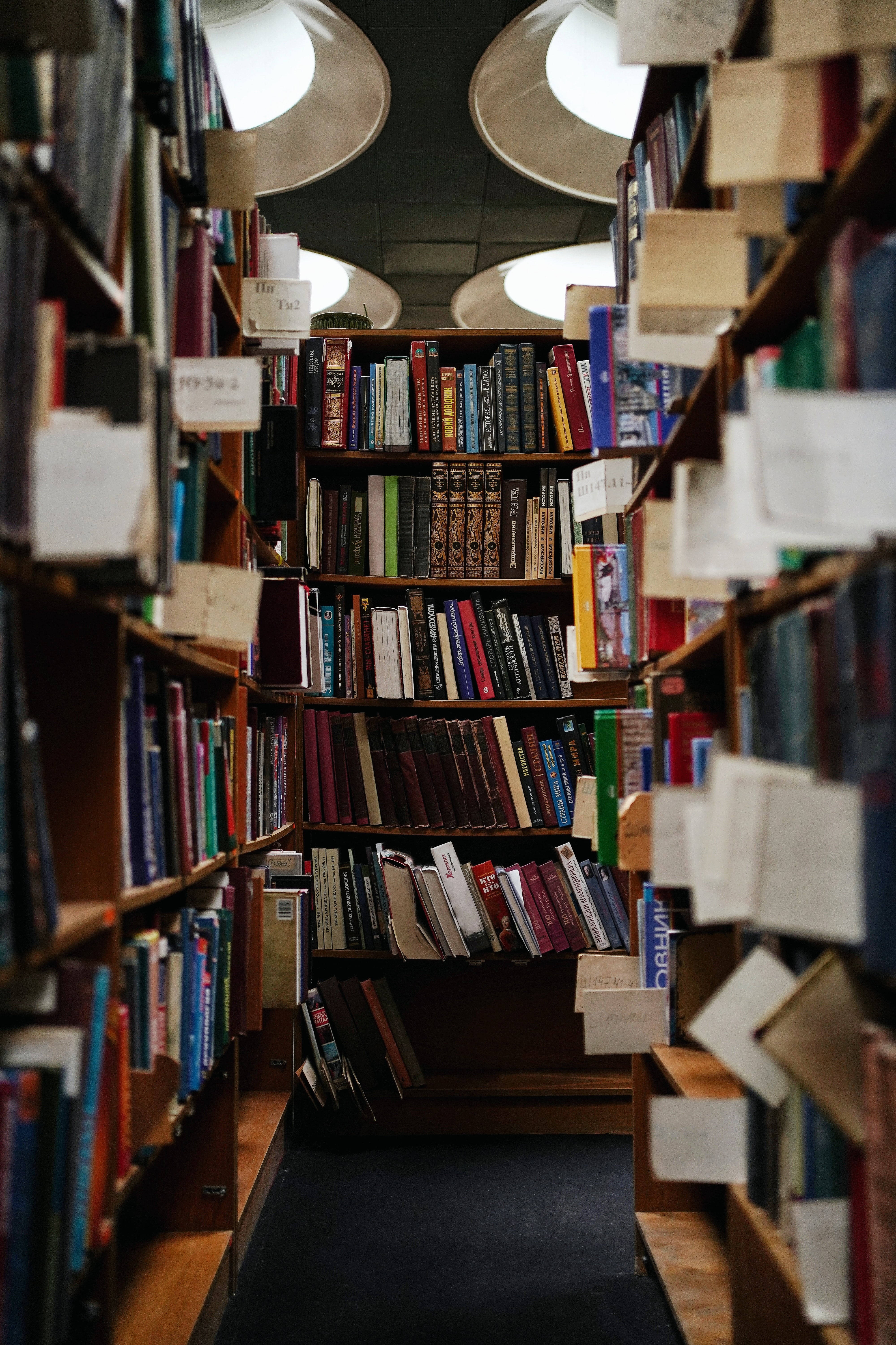 bookshelves, wooden bookshelves, cozy library, 5K Phone Wallpaper