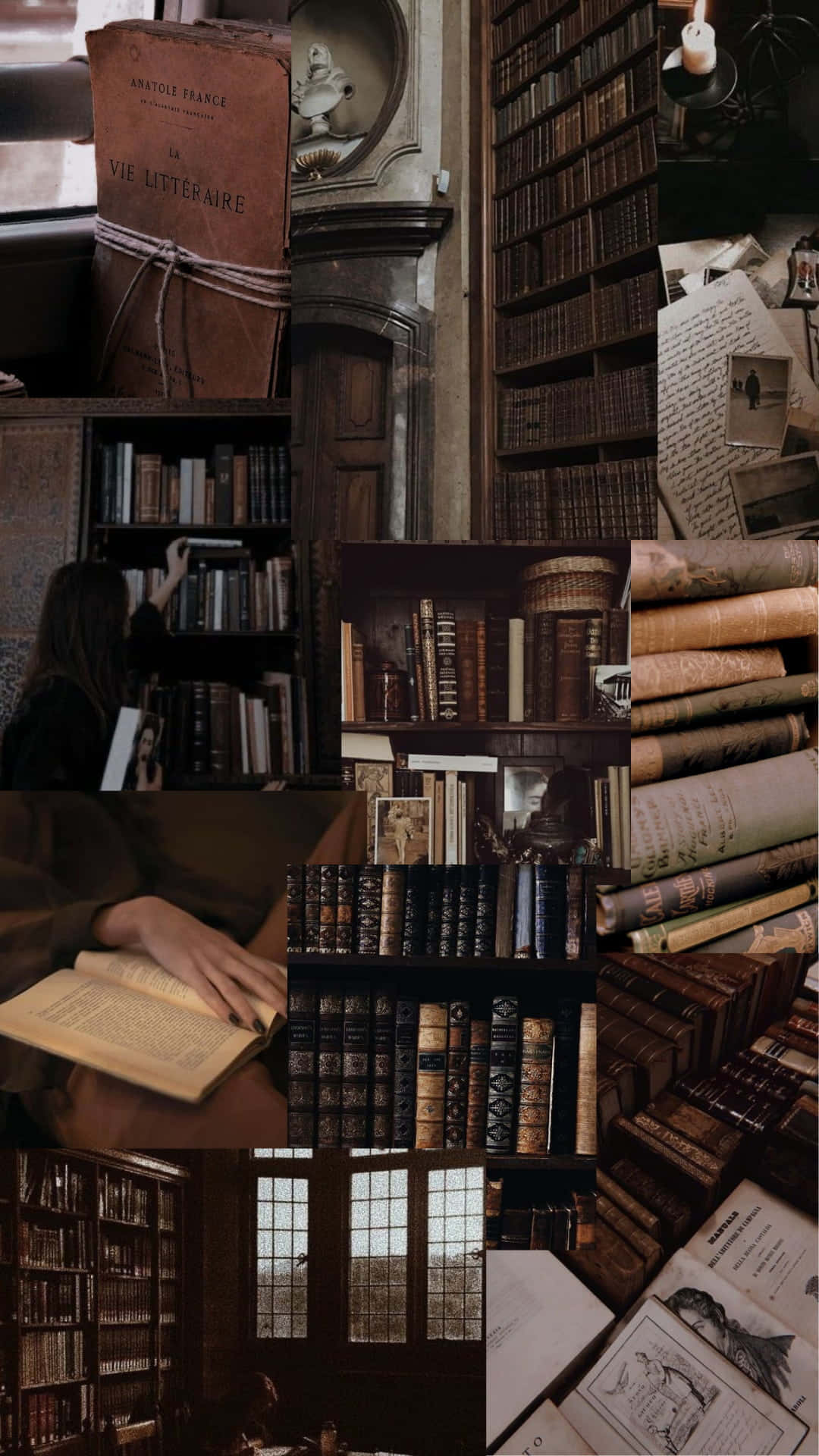 vintage bookshelves, aged tomes, person reading, Full HD Phone Wallpaper