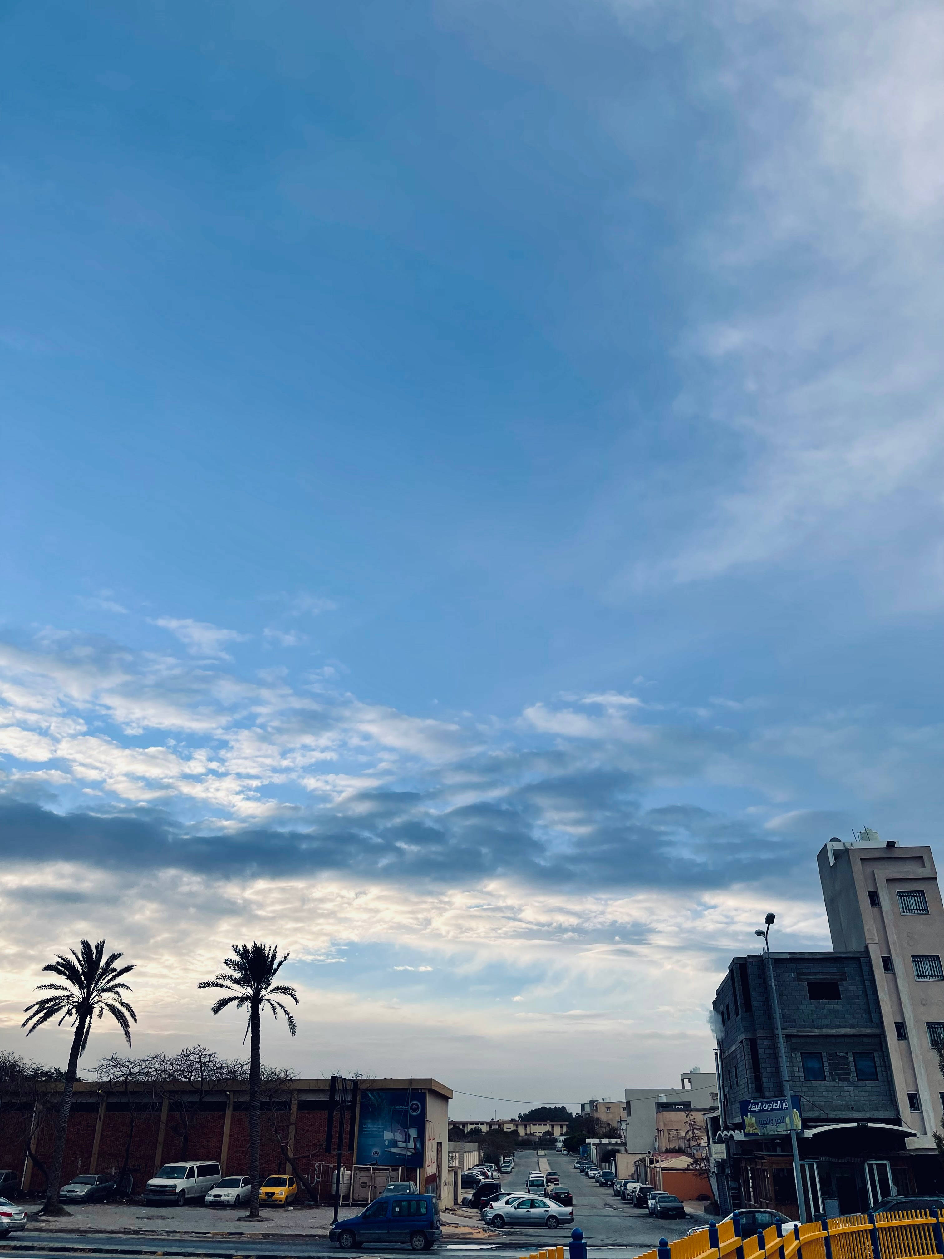 Libya, city buildings, palm trees, 4K Phone Wallpaper