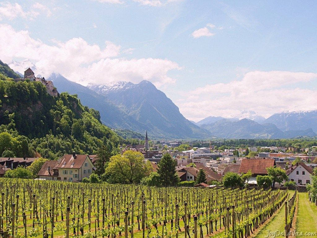 Liechtenstein, crop field, vibrant green grapevines, SD Desktop Wallpaper