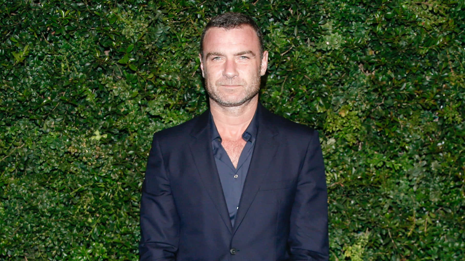 Liev Schreiber, dark suit, lush green hedge, Full HD Desktop Wallpaper