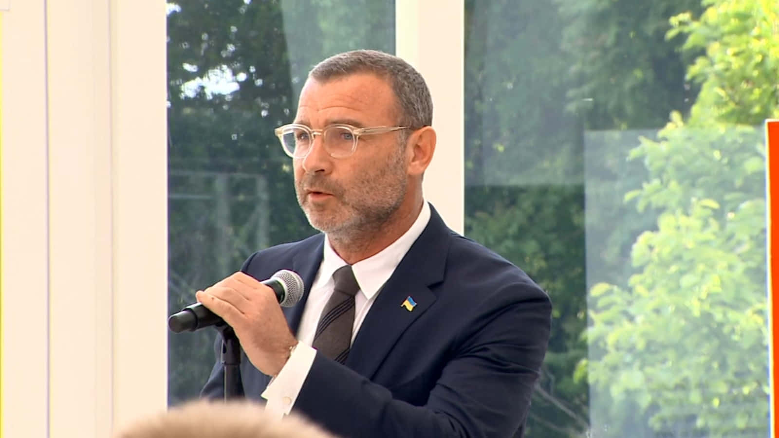 Liev Schreiber, dark suit, glasses, HD Desktop Wallpaper