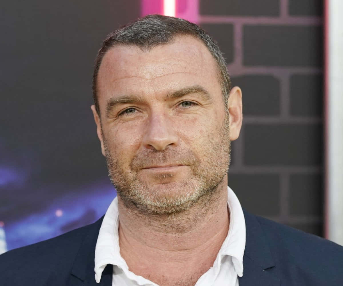Liev Schreiber, short graying hair, stubble, SD Desktop Wallpaper