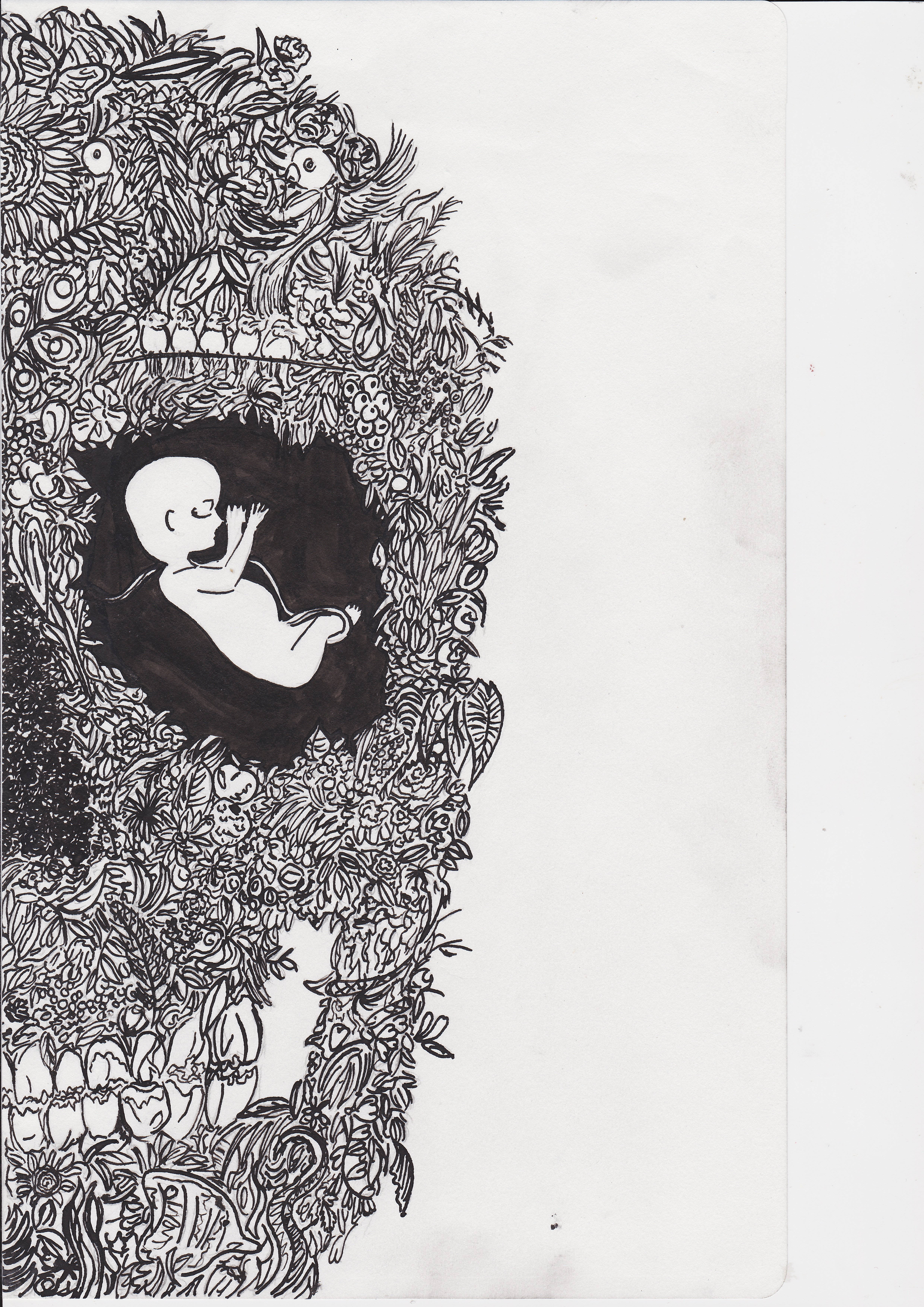Life And Death, fetus, skull, 5K Phone Wallpaper
