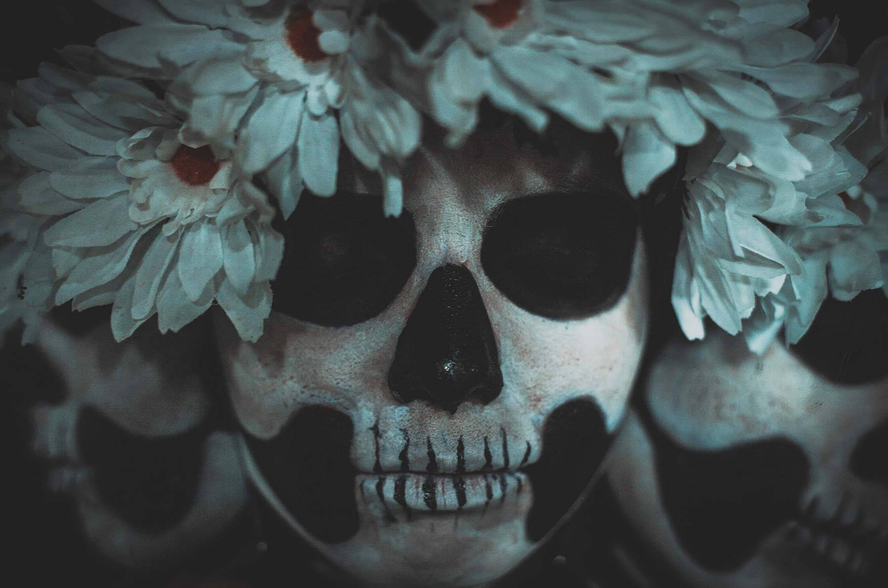 Life And Death, skull, white daisies, HD Desktop Wallpaper