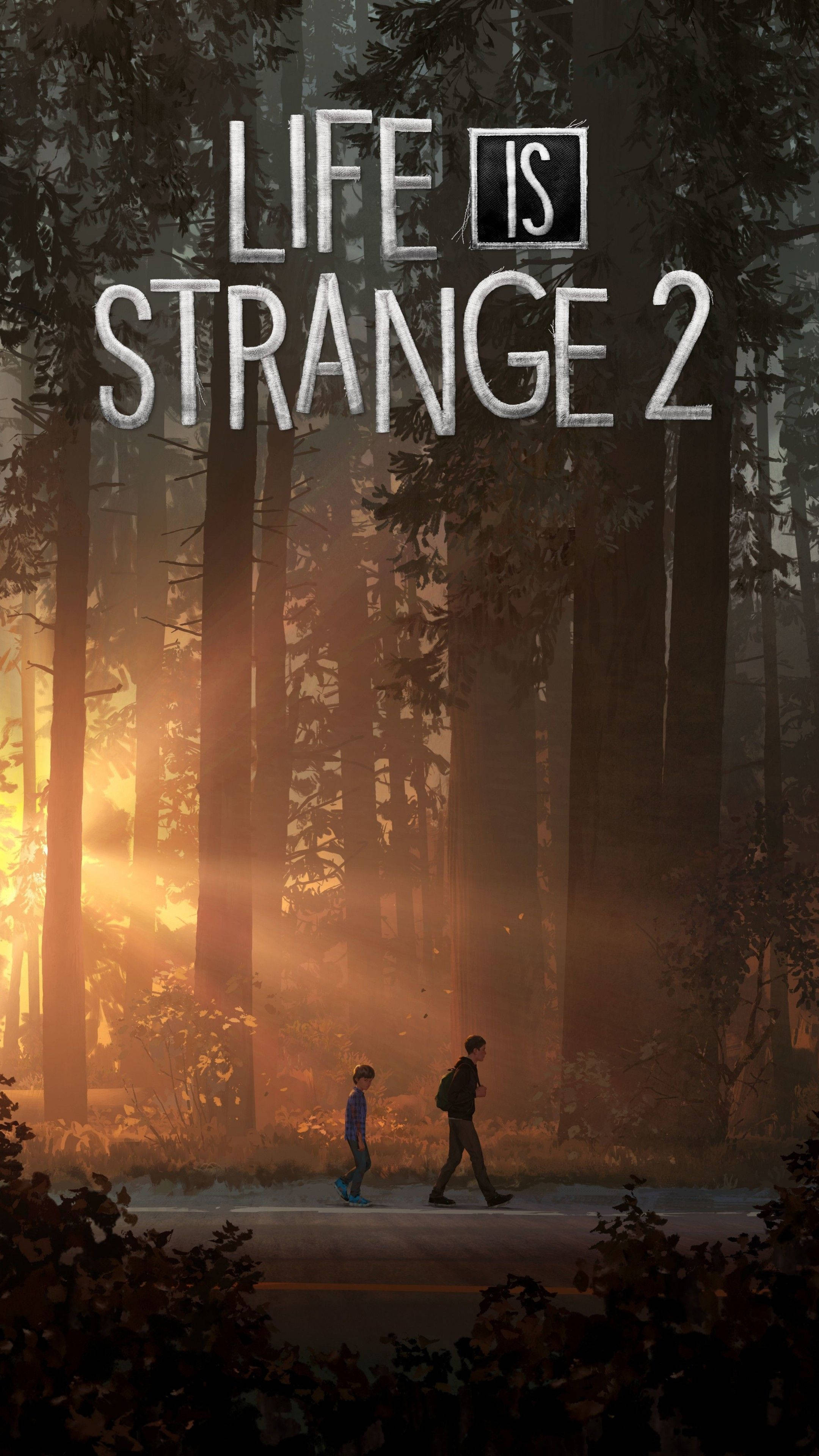 Life Is Strange 2, forest road, golden sunlight, 4K Phone Wallpaper
