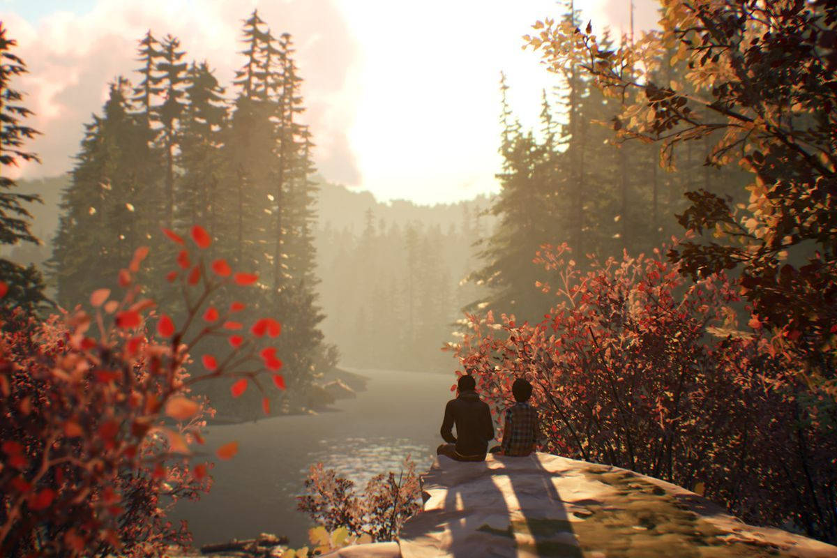 Life Is Strange, mossy rock, misty river, SD Desktop Wallpaper