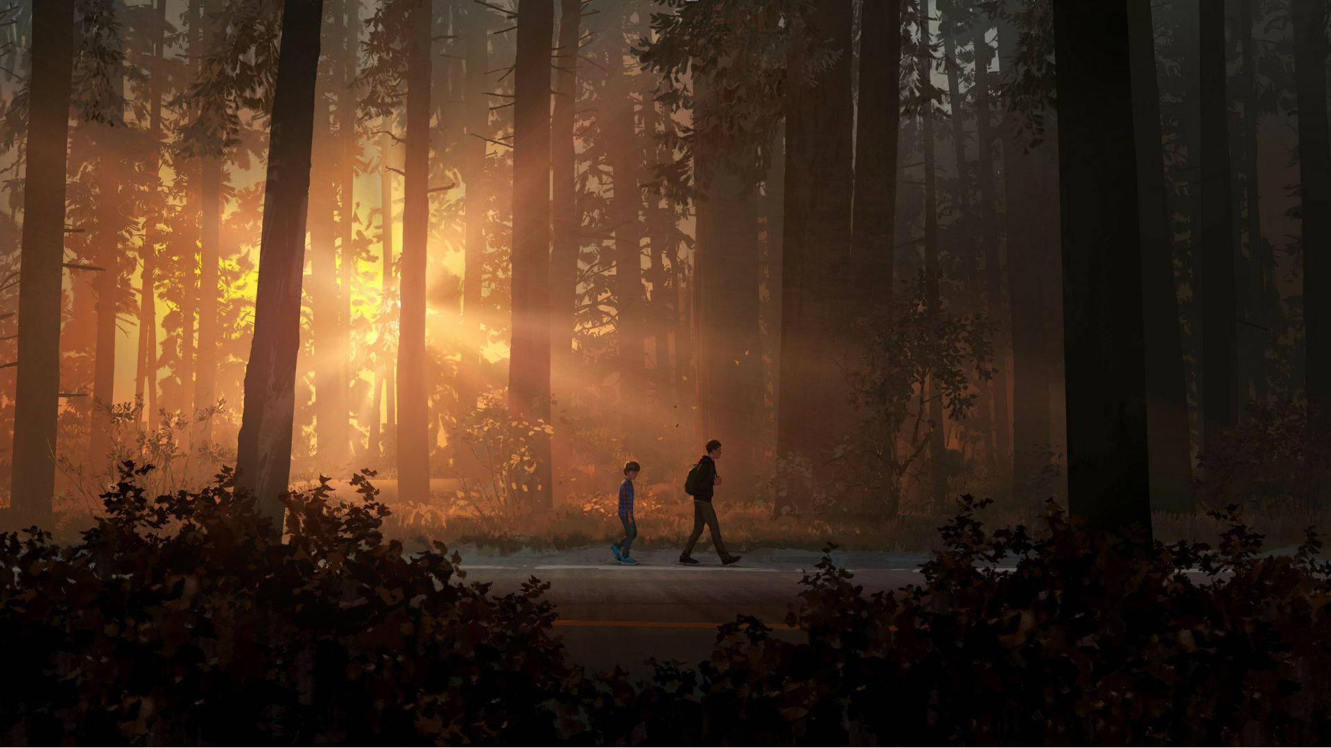 Life Is Strange 2, forest path, golden sunlight, Full HD Desktop Wallpaper