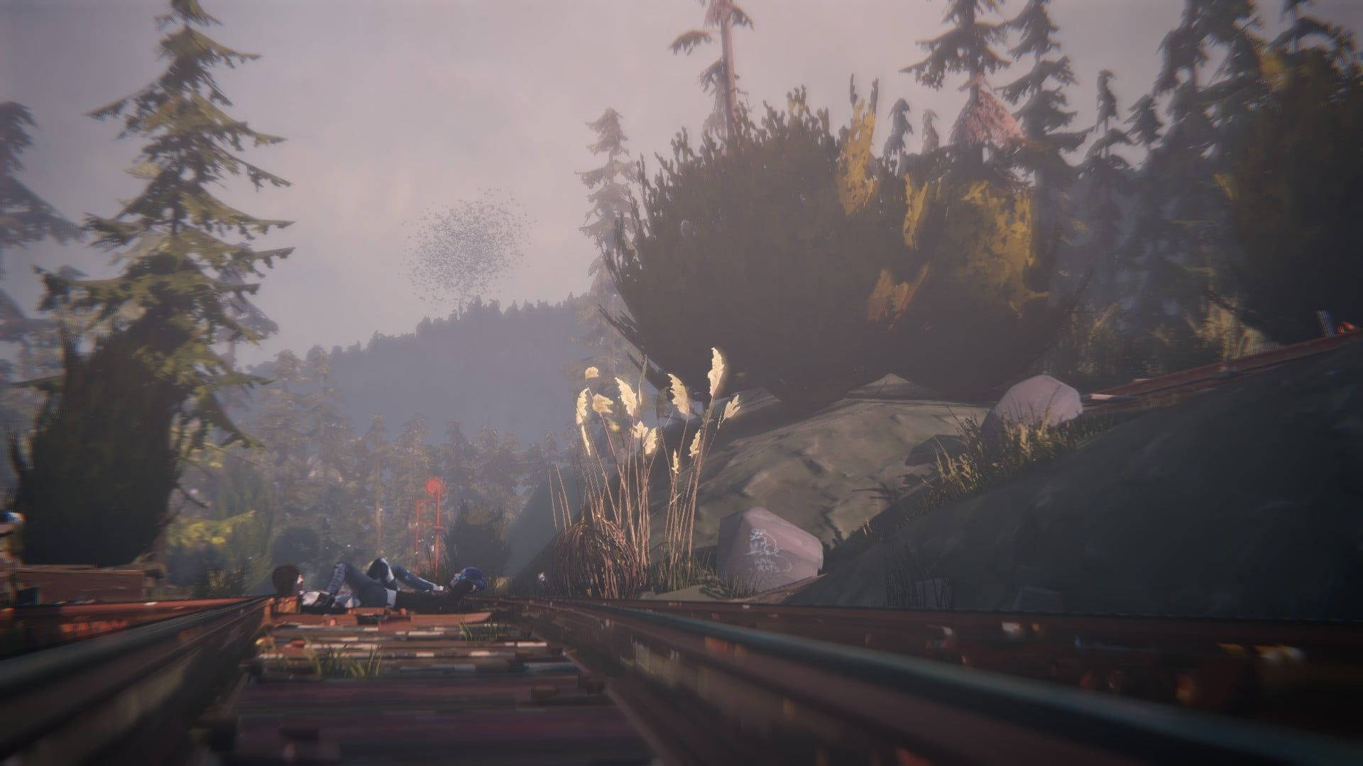 Life Is Strange, misty forest path, tall grasses, Full HD Desktop Wallpaper