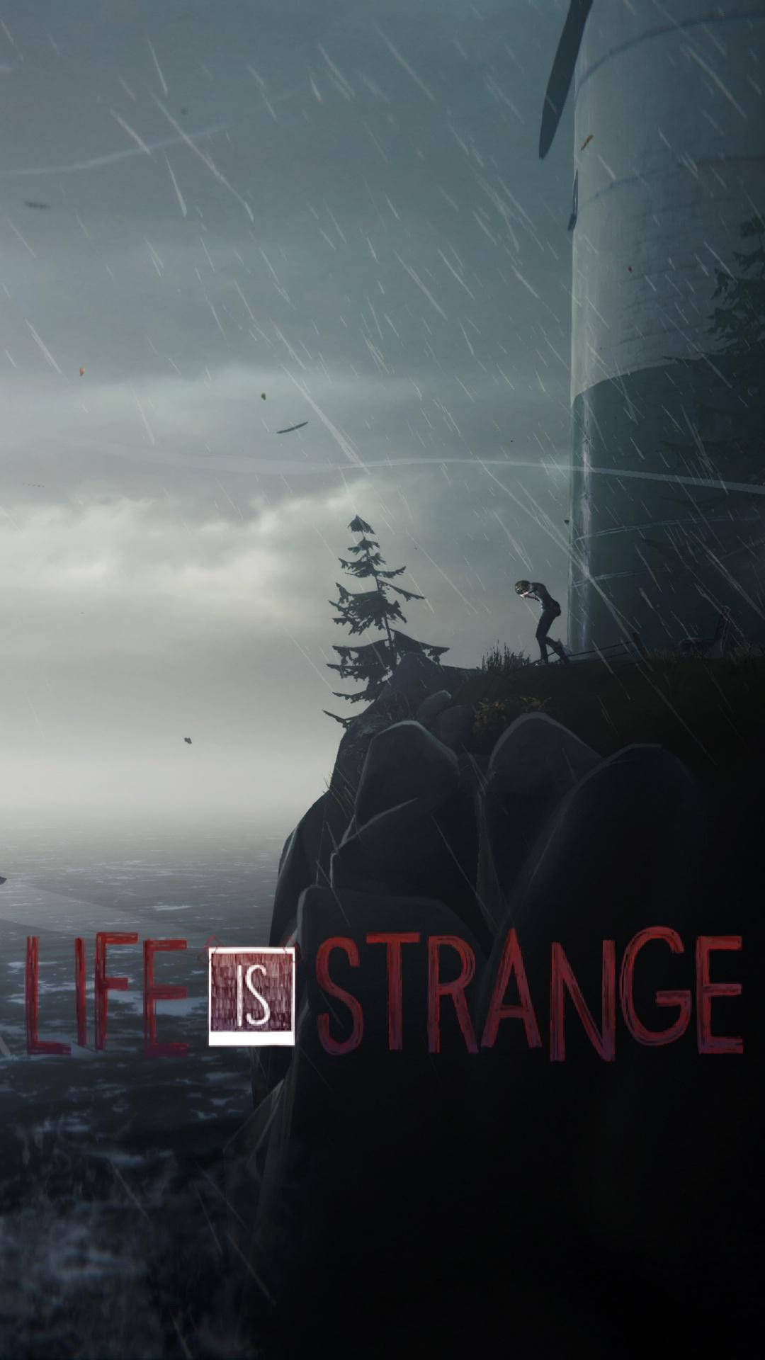 Life Is Strange, rainy ledge, rain-slicked cliff edge, Full HD Phone Wallpaper