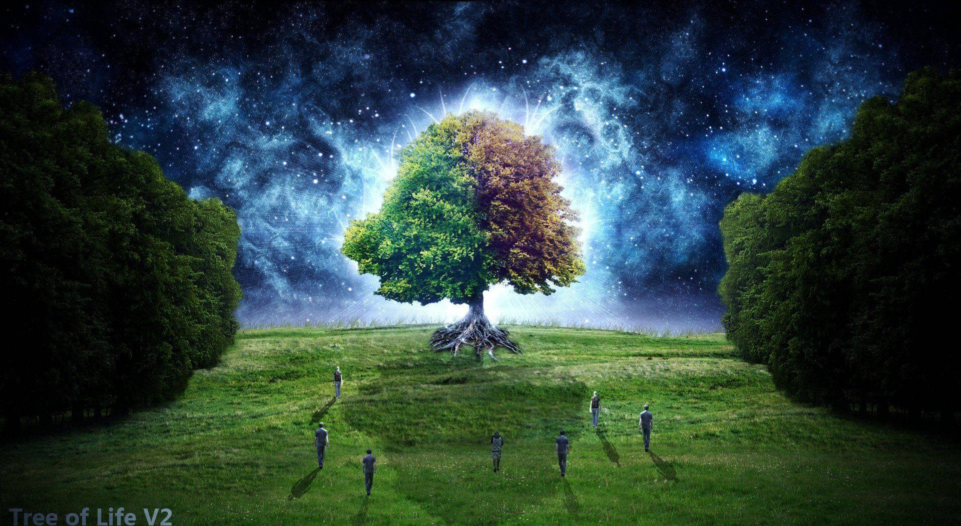 Tree Of Life, cosmic tree, green and autumn leaves, Full HD Desktop Wallpaper