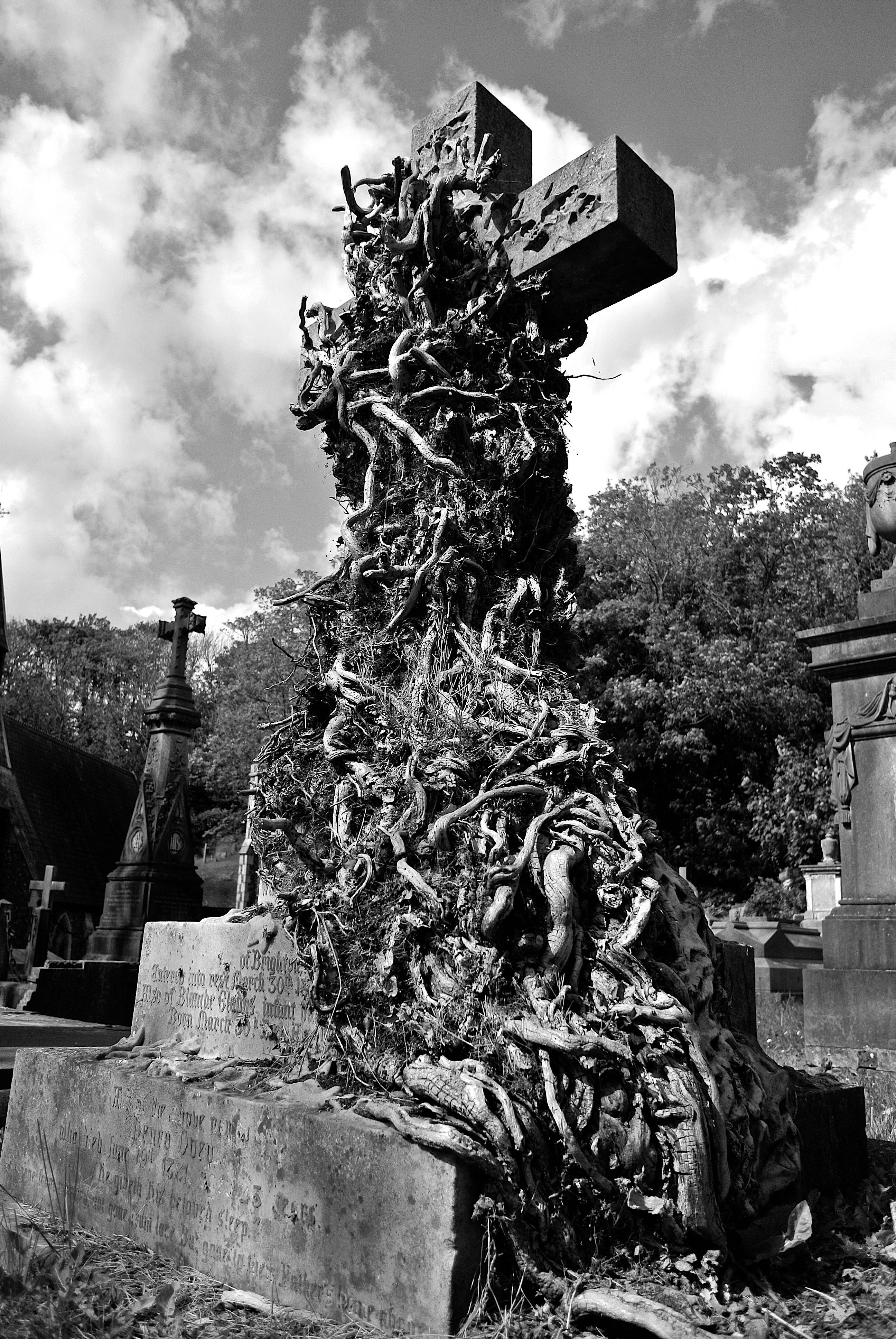 Life and Death, black and white, cemetery cross, 4K Phone Wallpaper