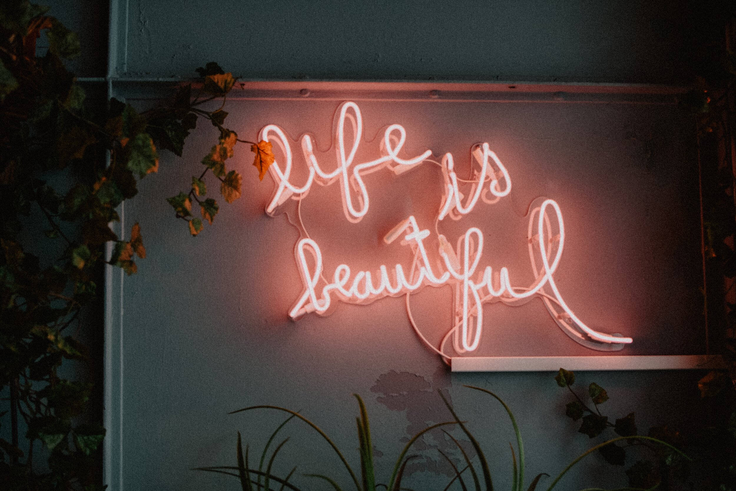 life is beautiful, neon sign, pink neon, Full HD Desktop Wallpaper