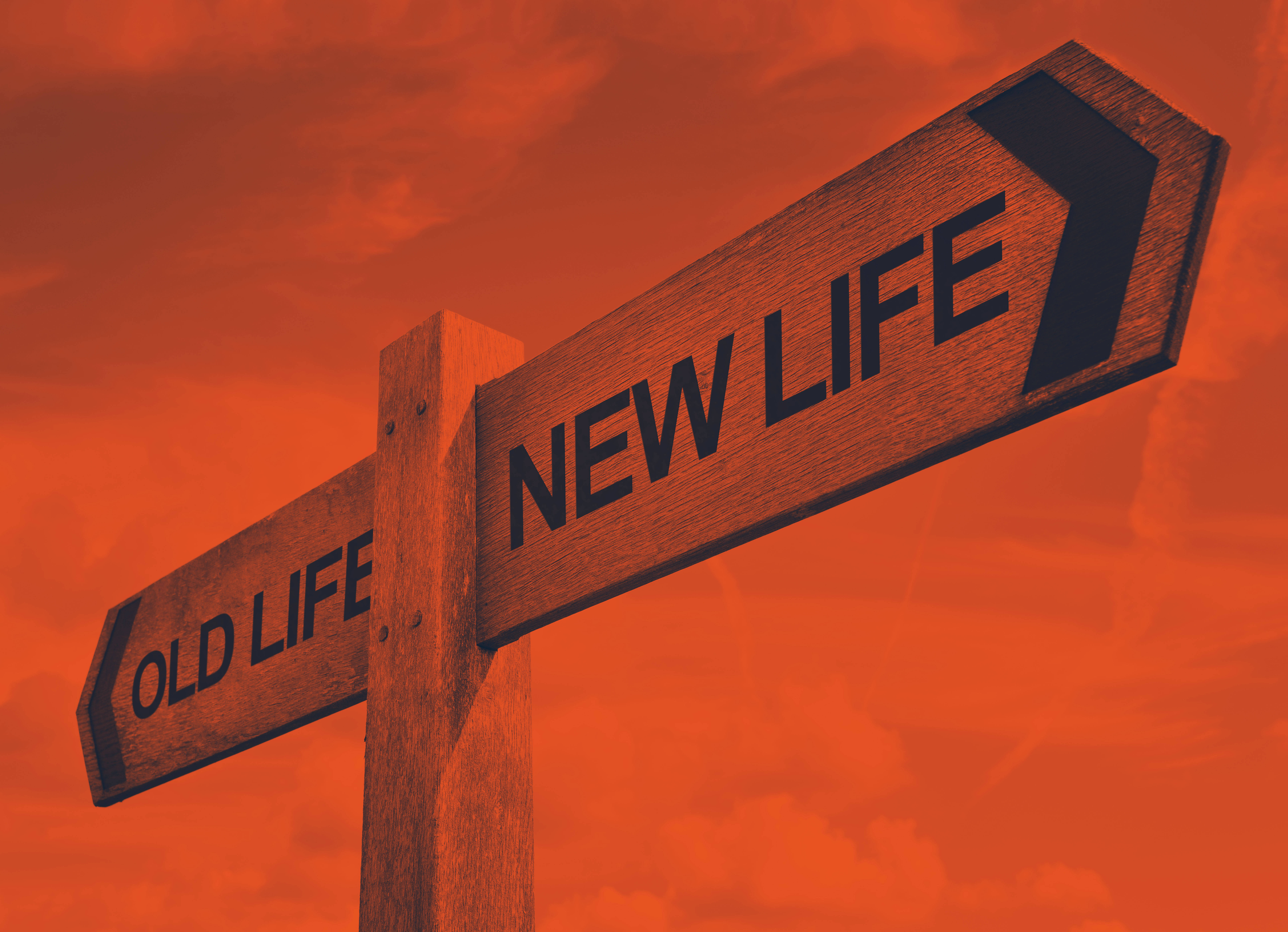OLD LIFE, NEW LIFE, wooden signpost, 8K Desktop Wallpaper