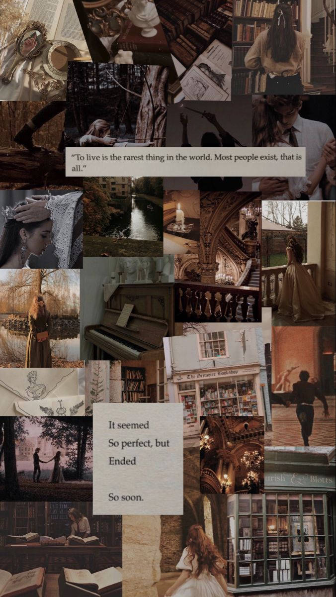 Light Academia Aesthetic, vintage bookshops, forest scenes, SD Phone Wallpaper