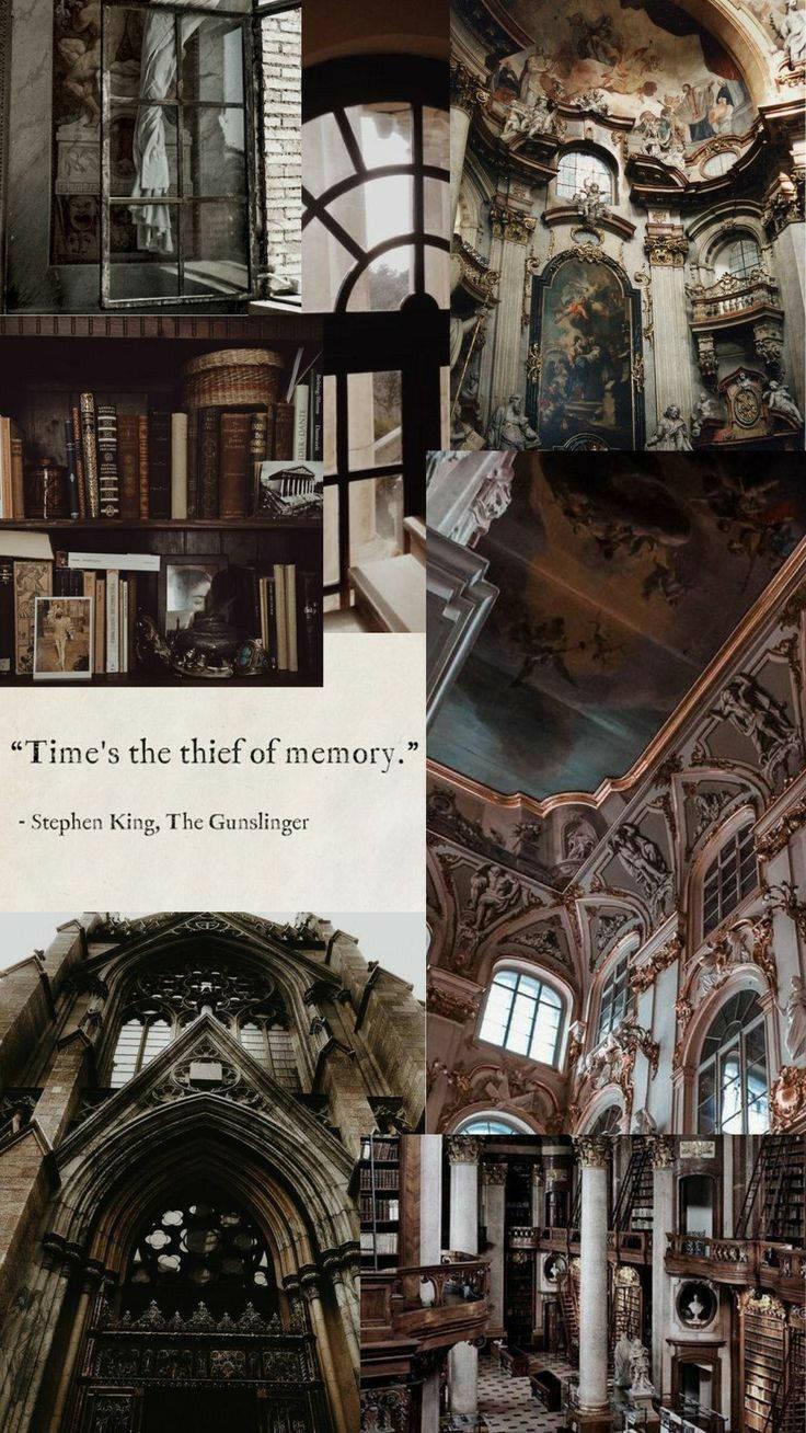 Light Academia, grand libraries, vaulted ceilings, HD Phone Wallpaper