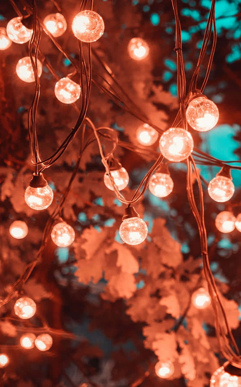 warm glow string lights, teal sky, blurred foliage, HD Phone Wallpaper