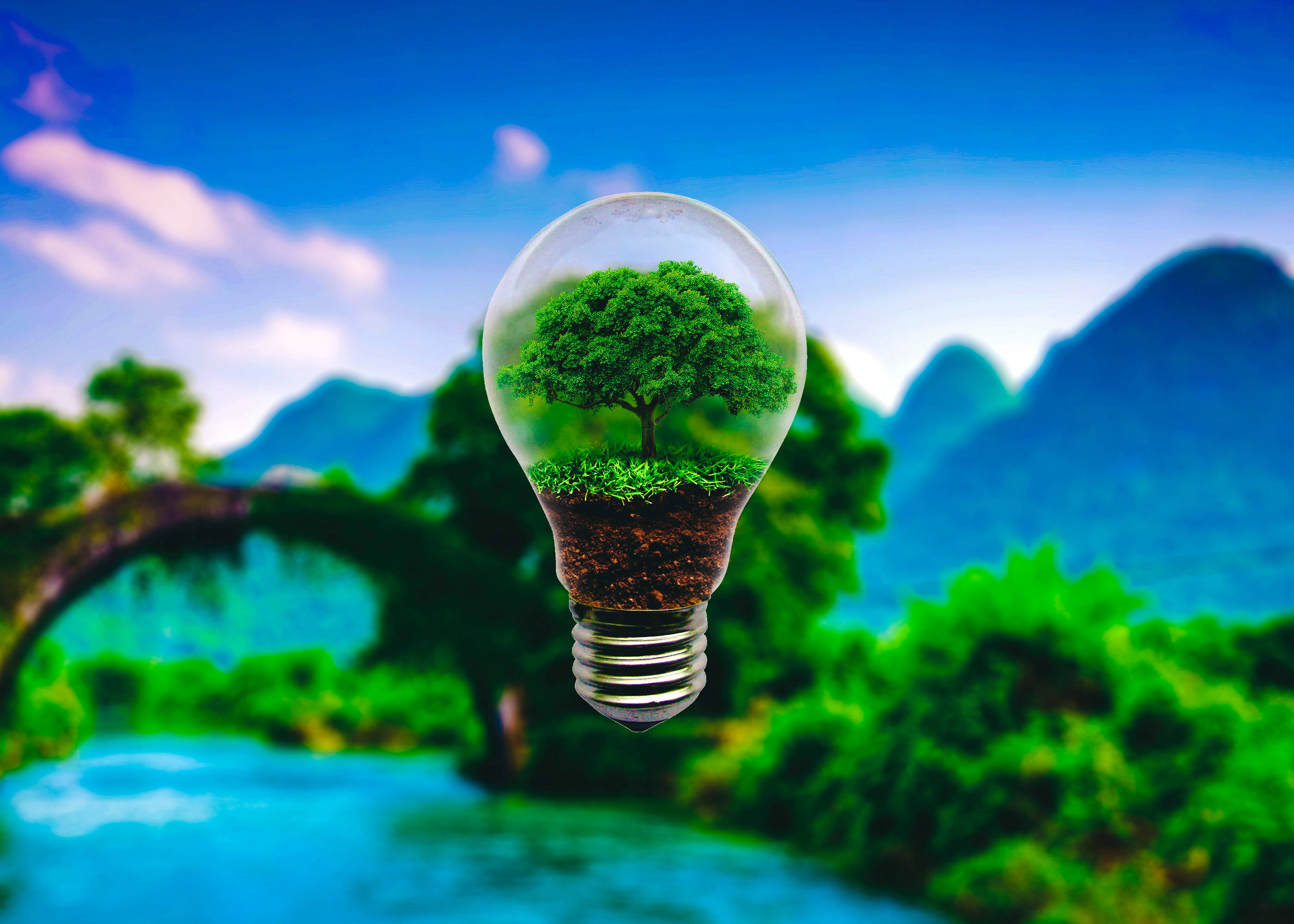 green ecological light bulb, glowing lightbulb, thriving green tree, 2K Desktop Wallpaper
