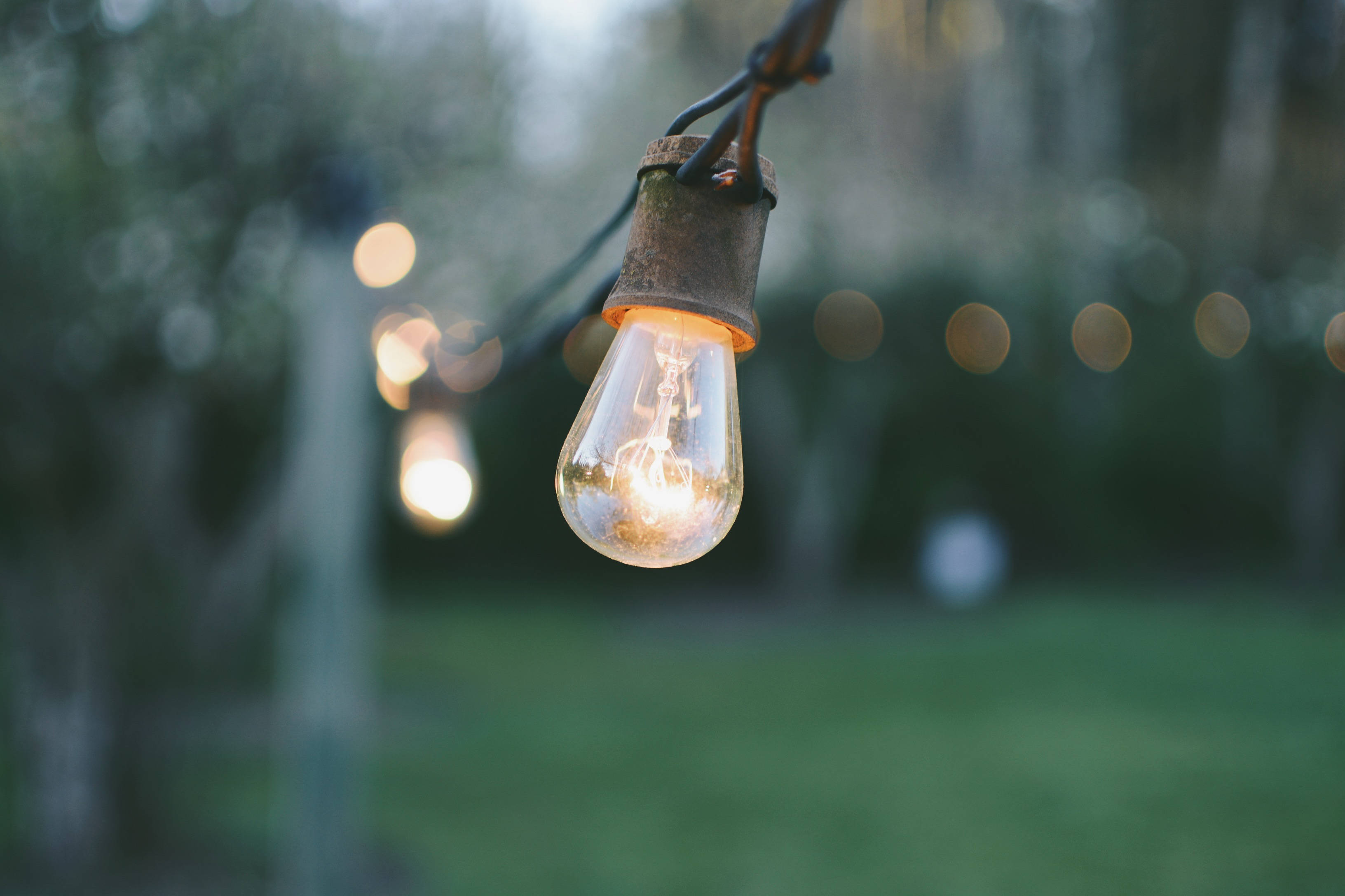 vintage-style bulb, glowing, blurred green garden backdrop, 2K Desktop Wallpaper