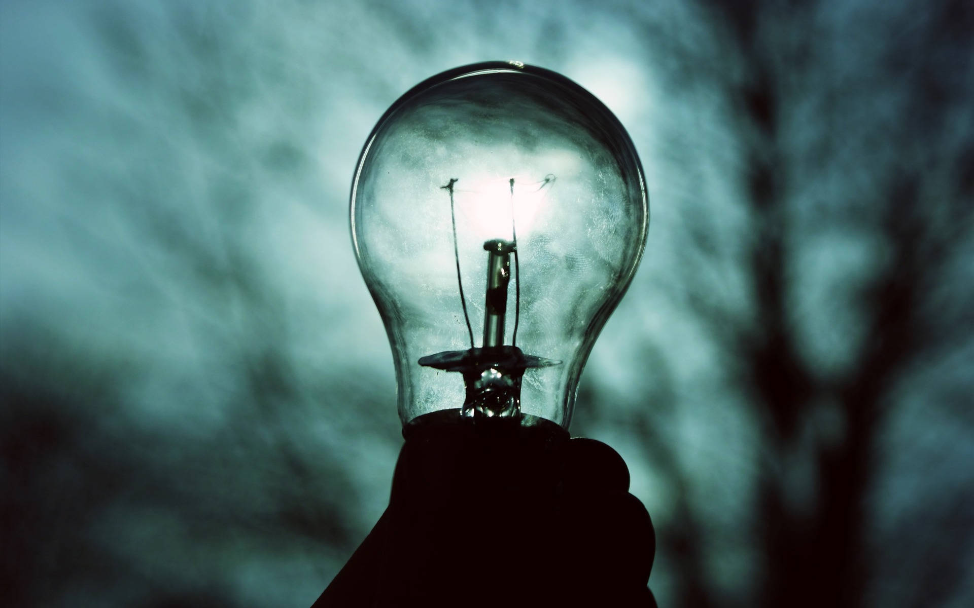 incandescent bulb, teal sky, blurred tree silhouettes, Full HD Desktop Wallpaper