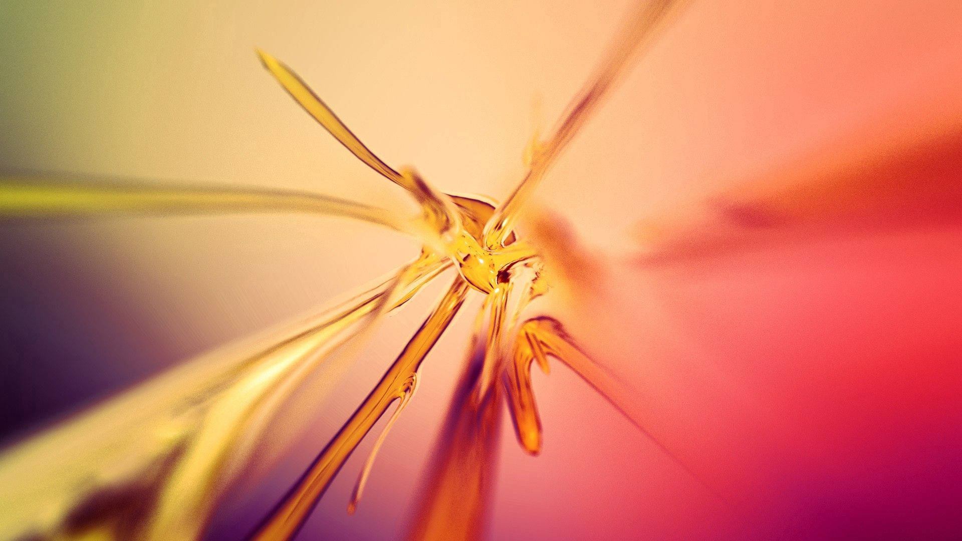 golden amber, peach, magenta, Full HD Desktop Wallpaper
