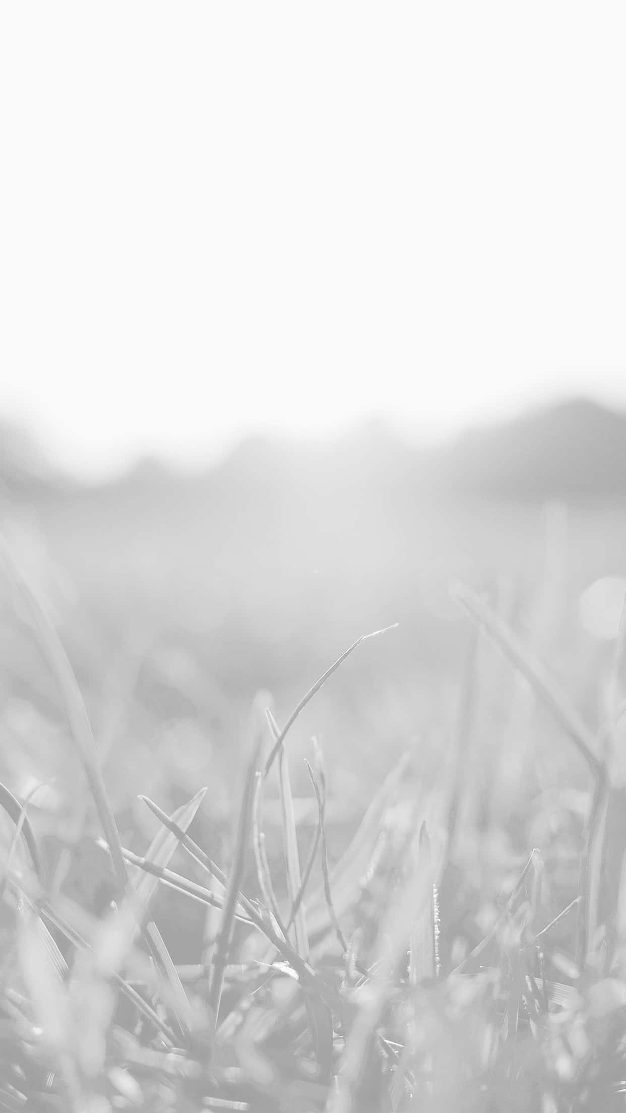 Light Gray, iPhone, modern design, Full HD Phone Wallpaper