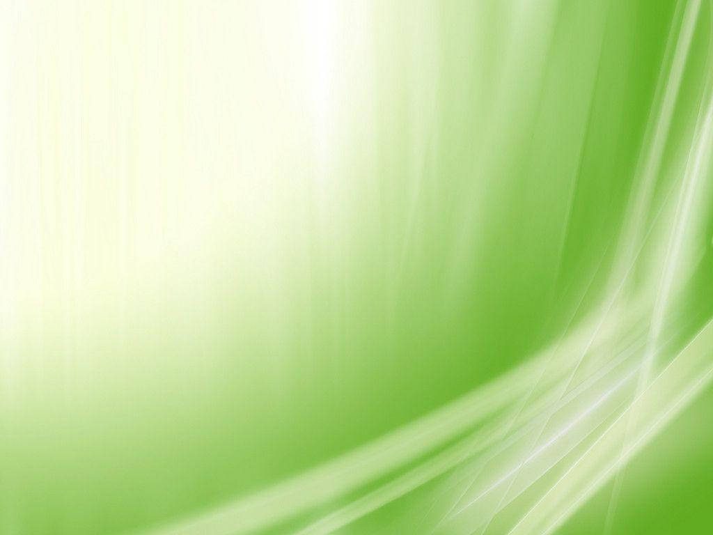 light green, white, flowing curved lines, SD Desktop Wallpaper