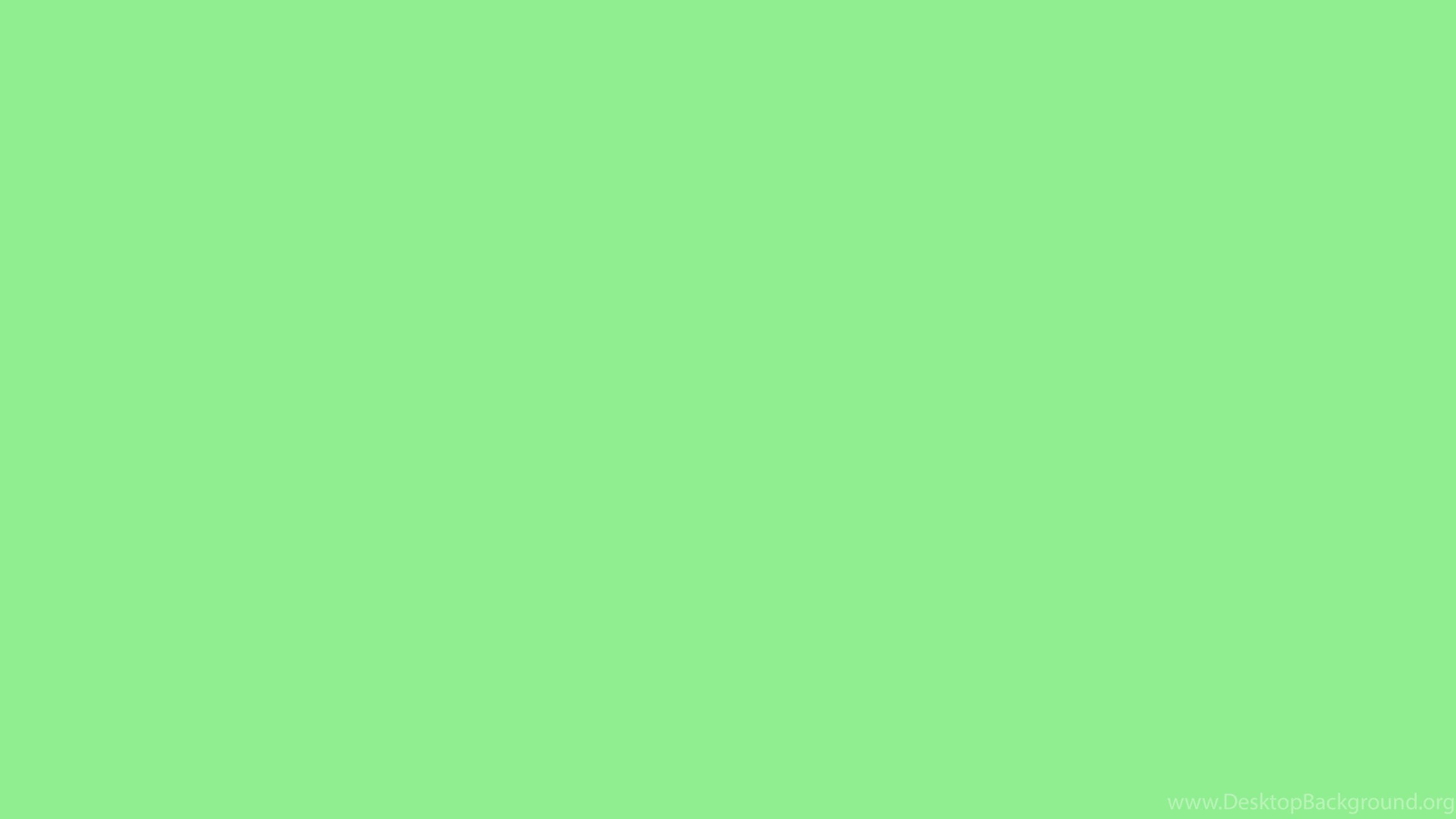 light green, plain, background, 2K Desktop Wallpaper
