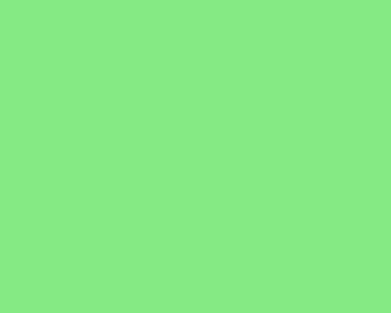light green, plain, solid background, HD Desktop Wallpaper