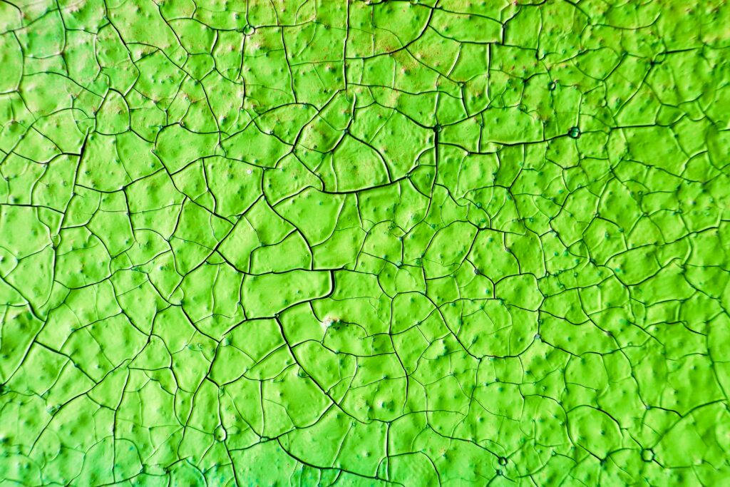 light green plain, leaf texture, vibrant green paint, SD Desktop Wallpaper