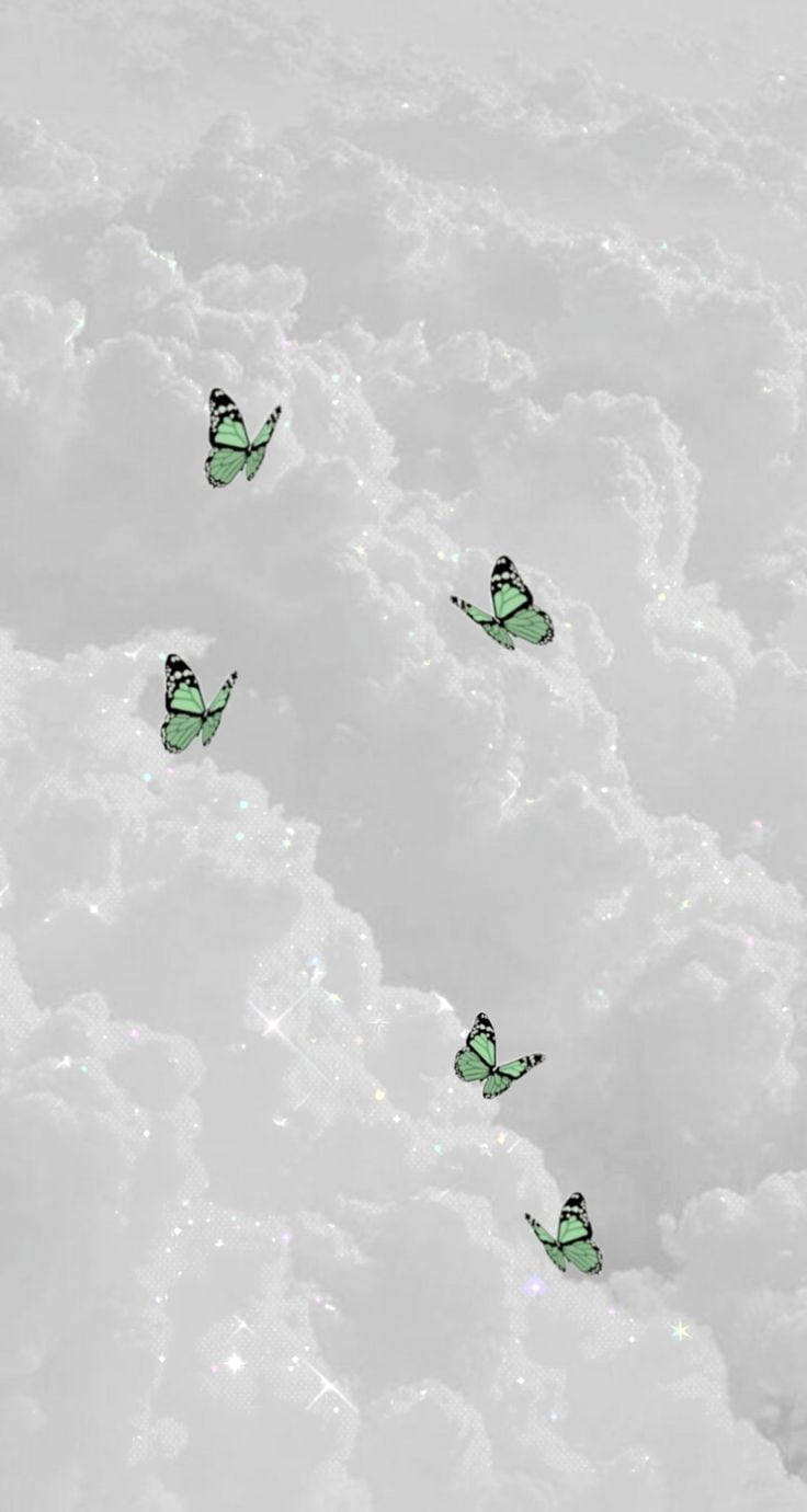 mint green, butterflies, soft glowing cloud, HD Phone Wallpaper
