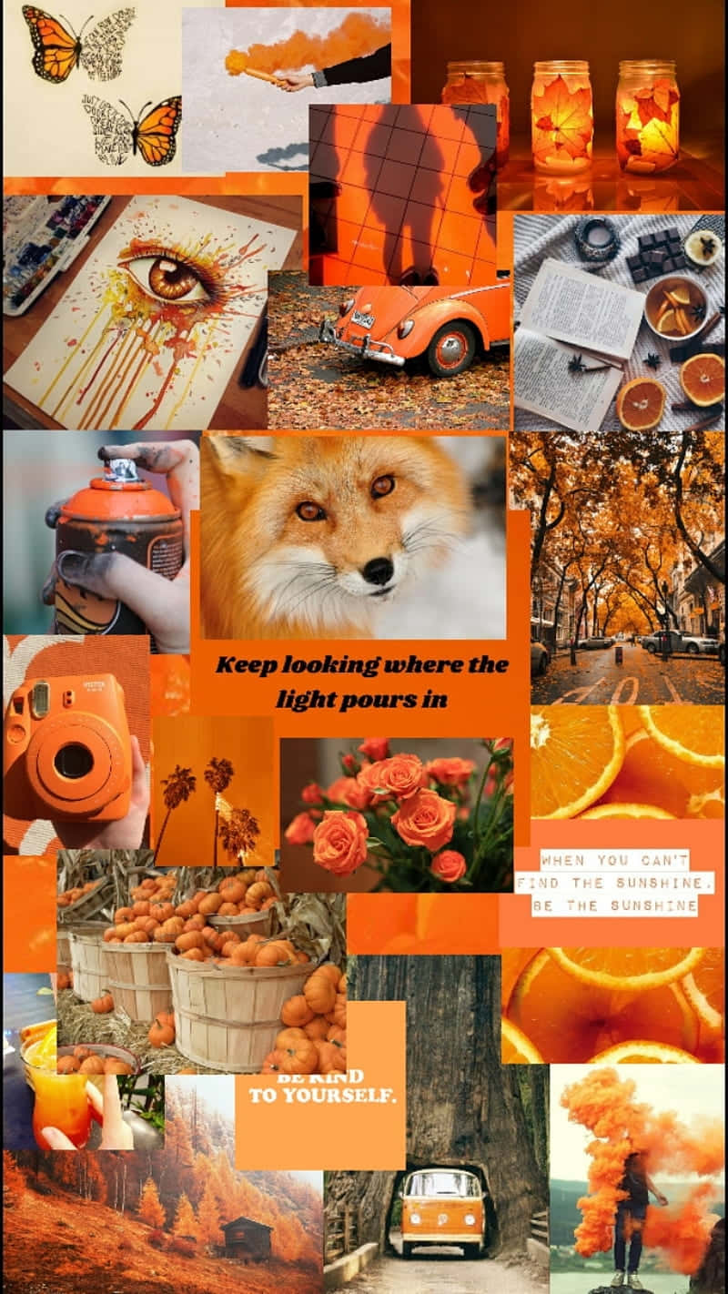 Light Orange Aesthetic, butterflies, foxes, HD Phone Wallpaper