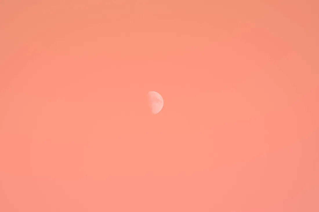 Light Orange