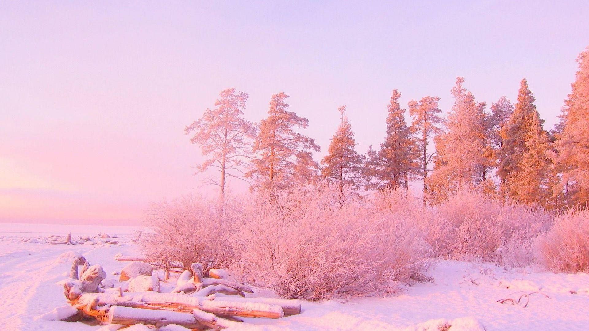 Light Pink Aesthetic, riverbank, winter forest, Full HD Desktop Wallpaper