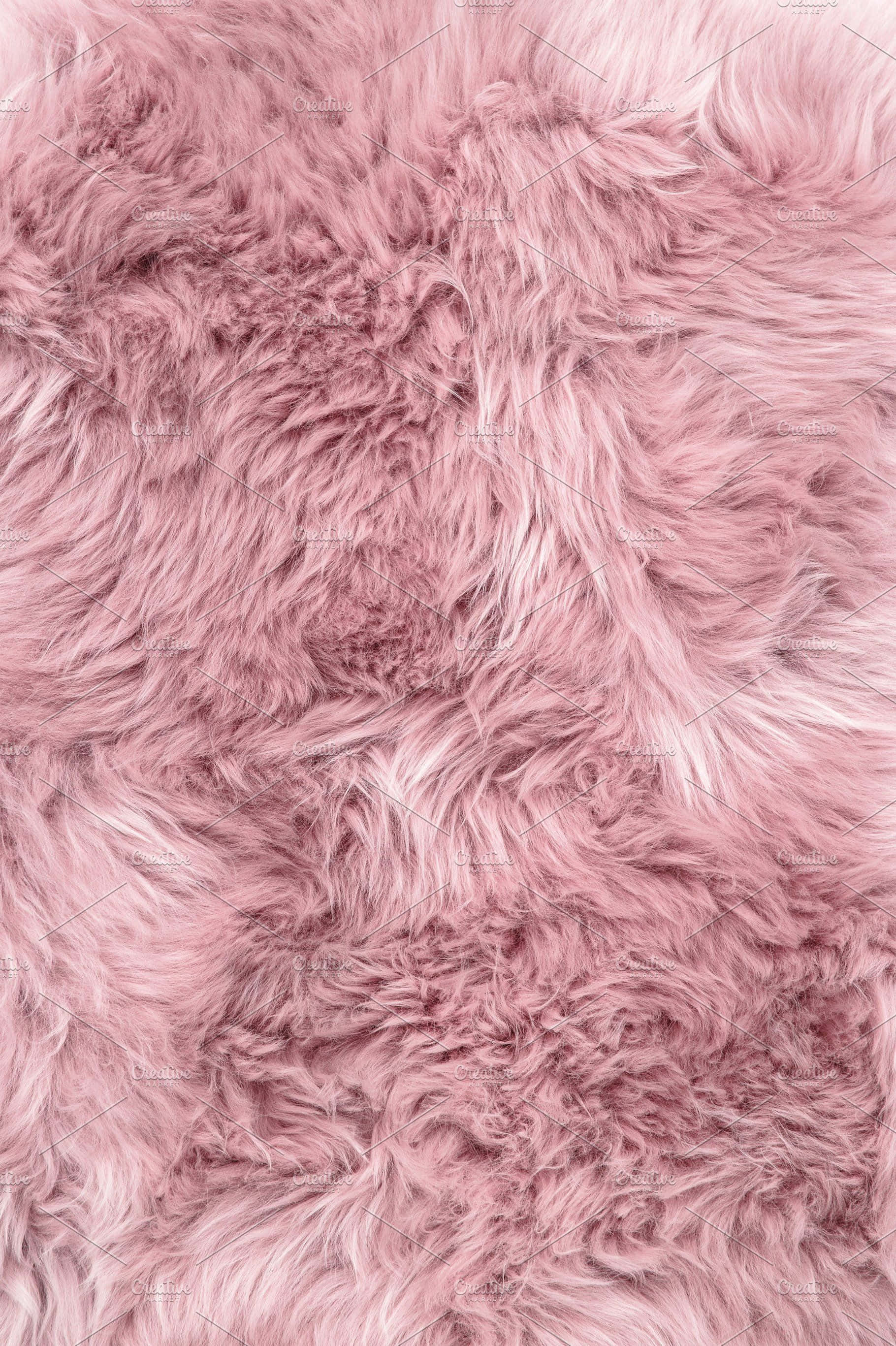 fuzzy light pink fur, soft fluffy pink fur, white tips, 2K Phone Wallpaper
