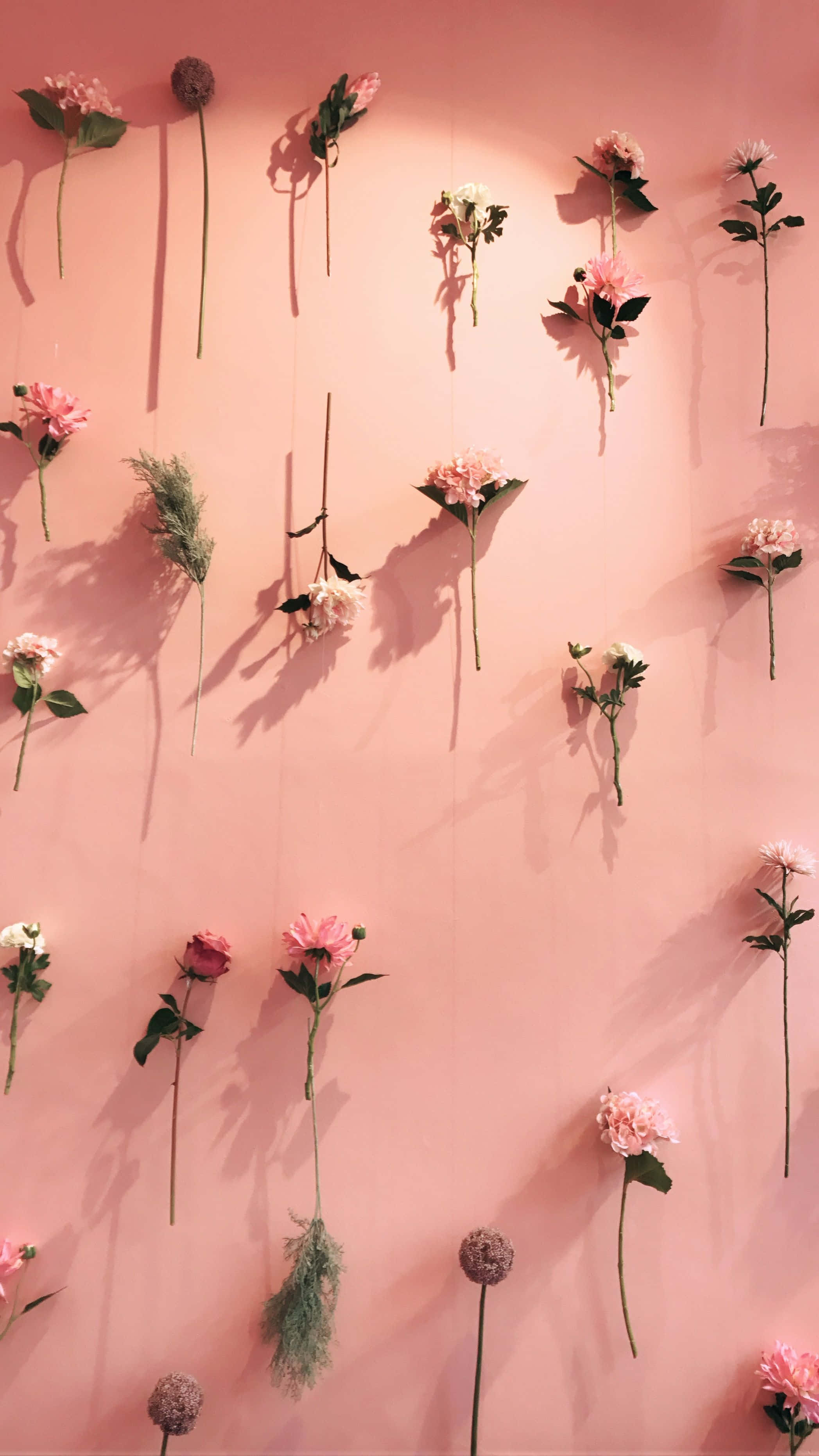 light pink floral iPhone, pink flowers, greenery, 2K Phone Wallpaper