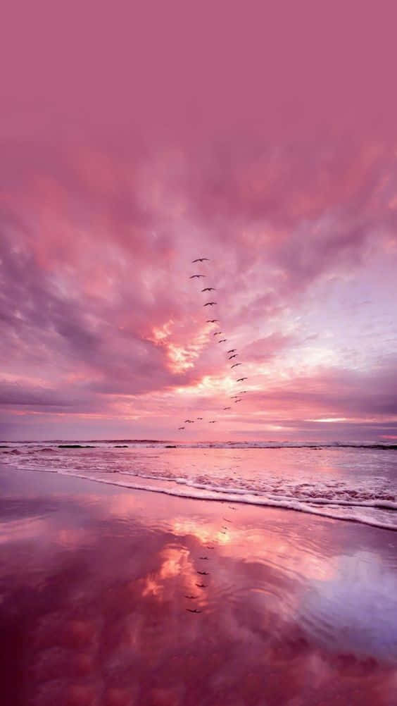 light pink iPhone, vibrant pink sunset, wet beach sand, SD Phone Wallpaper