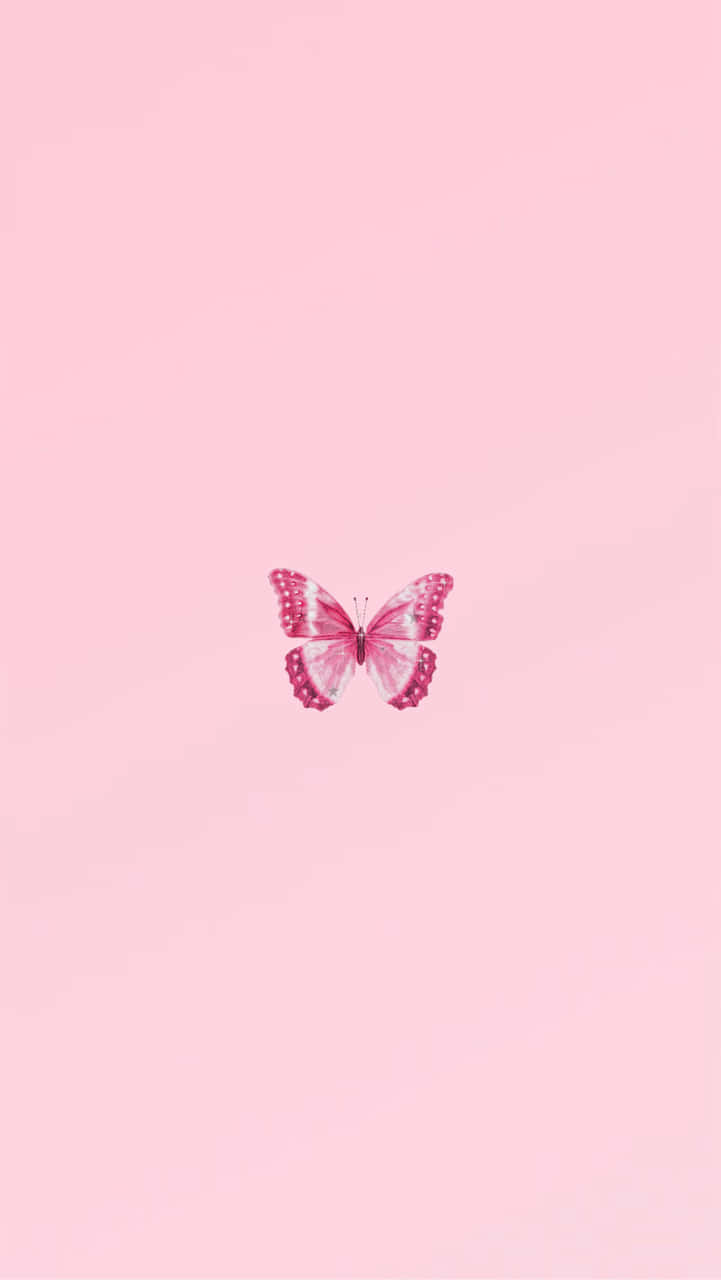 pink butterfly, pastel pink gradient background, light pink iPhone, HD Phone Wallpaper