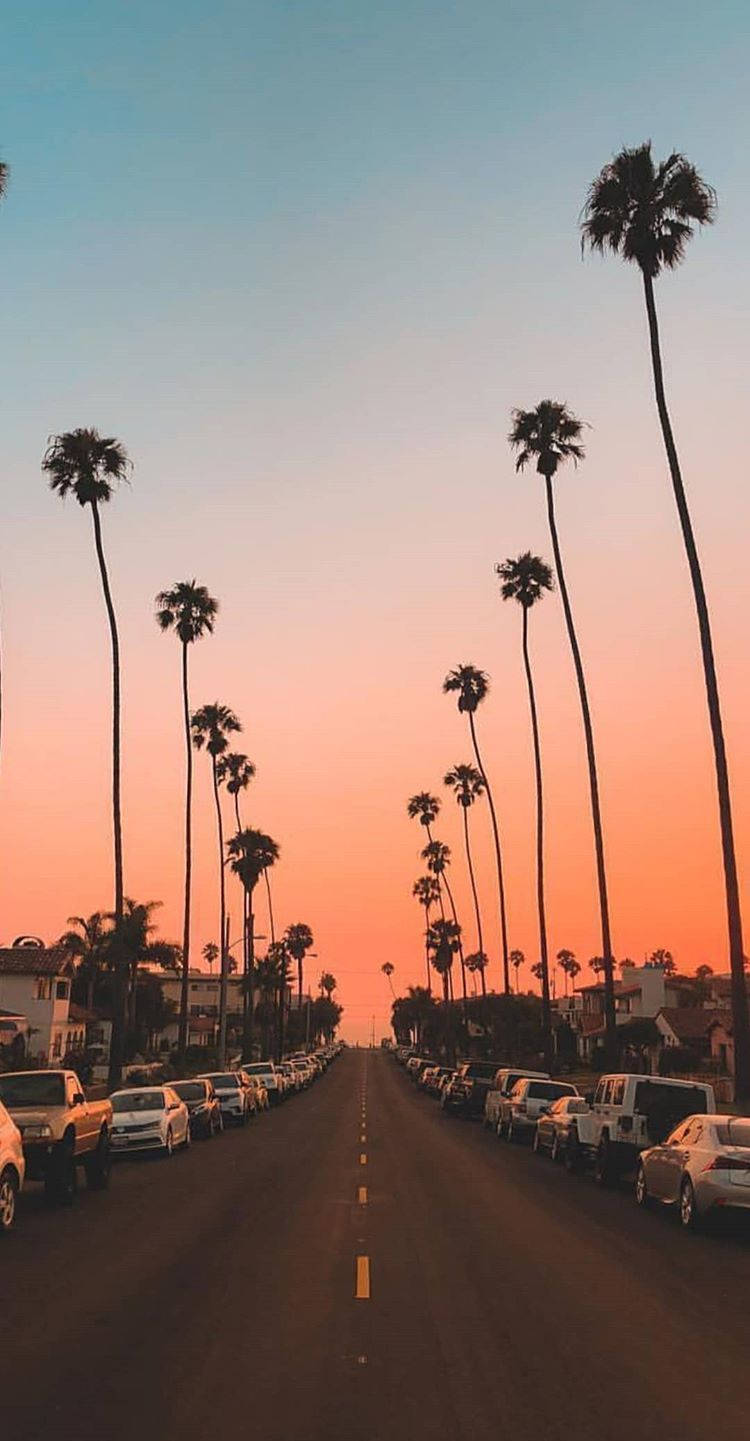 Pink Sunset Road Summer iPhone, sunset sky, orange and blue sunset, HD Phone Wallpaper